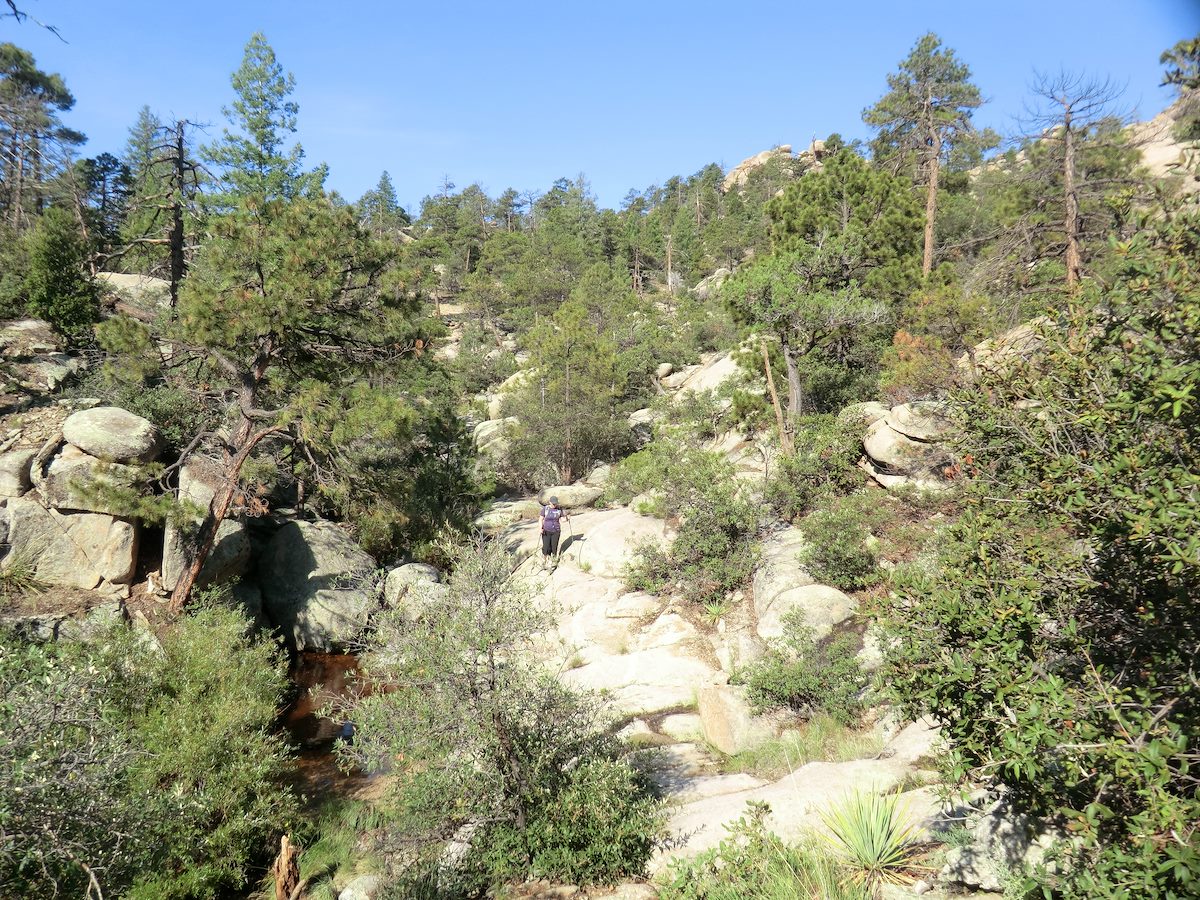 2012 August Rocky section on the Wilderness of Rock Trail