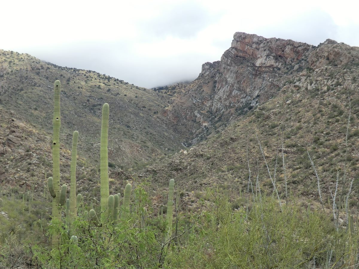 2012 December Clouds and Pontatoc Cliffs at the Start of the Hike
