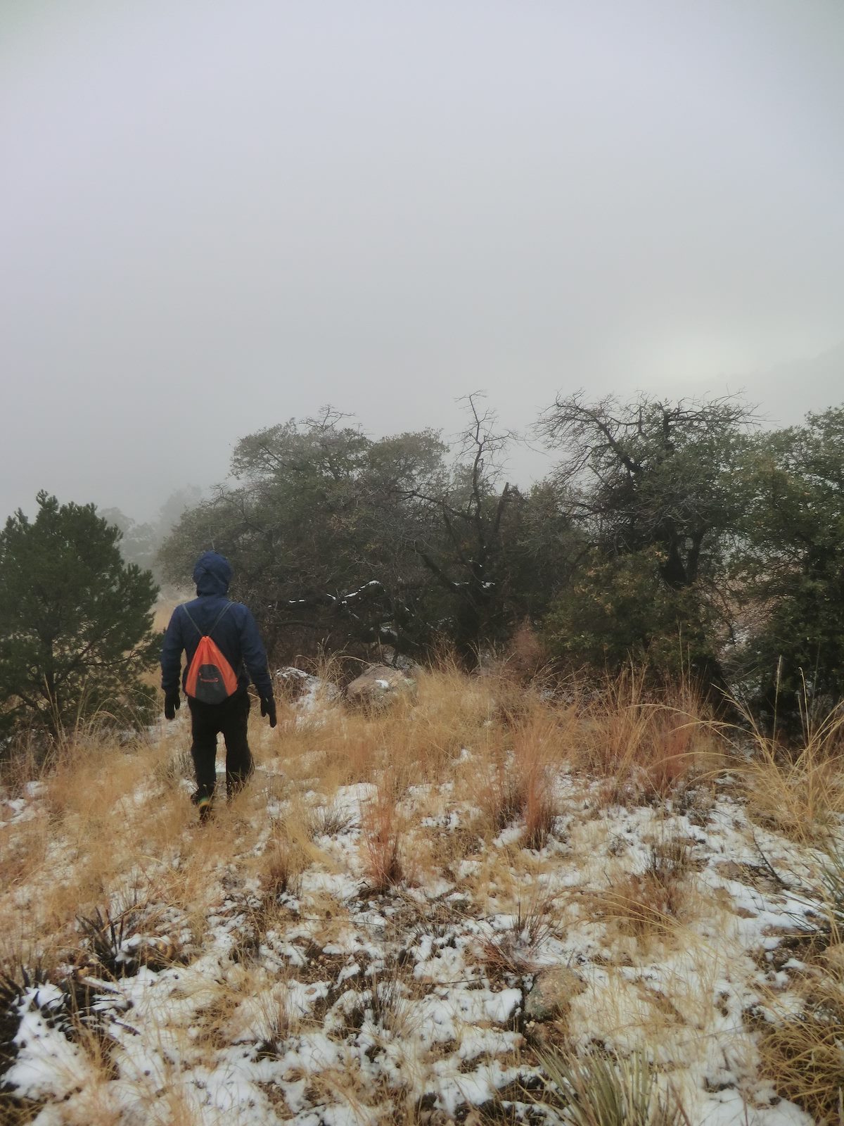 2012 December Descending