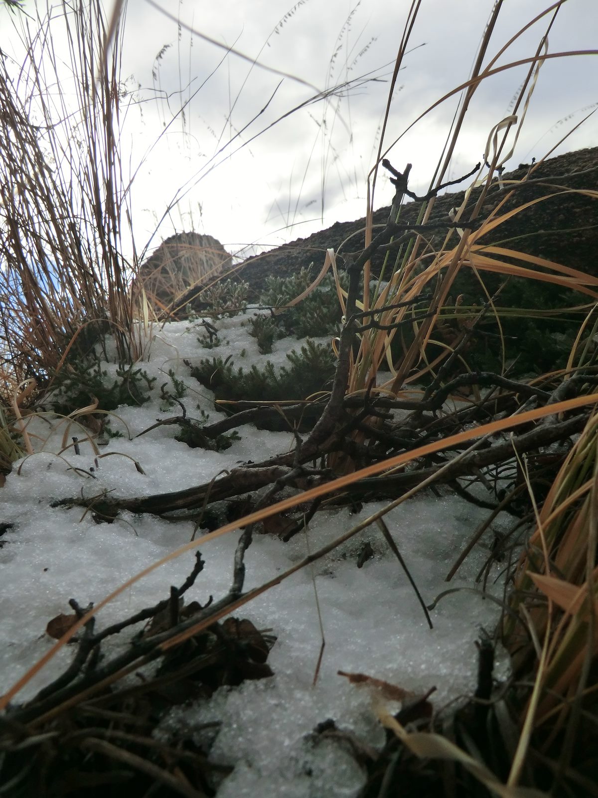 2012 December First good Snow Patch with Pontatoc Cliffs in the backgroun