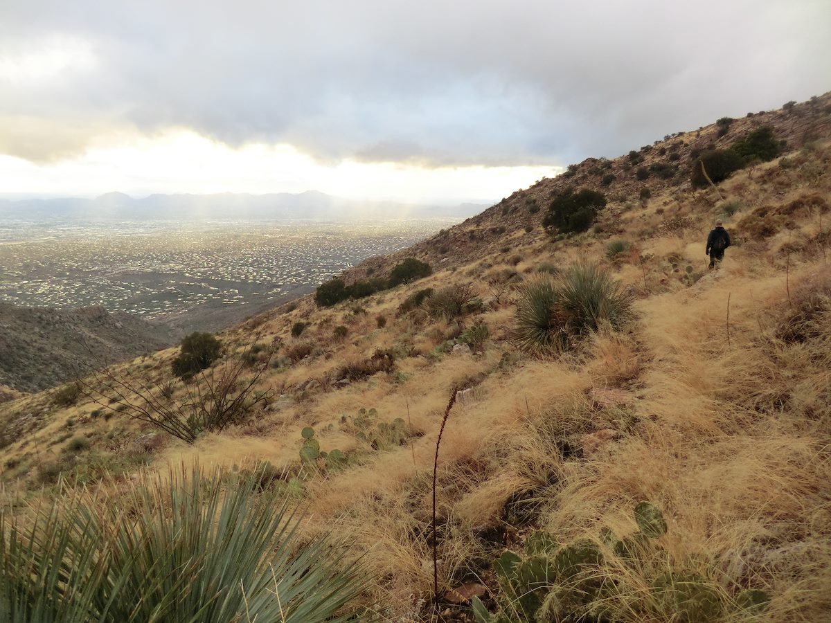 2012 December Late in the Day on Pontatoc Canyon
