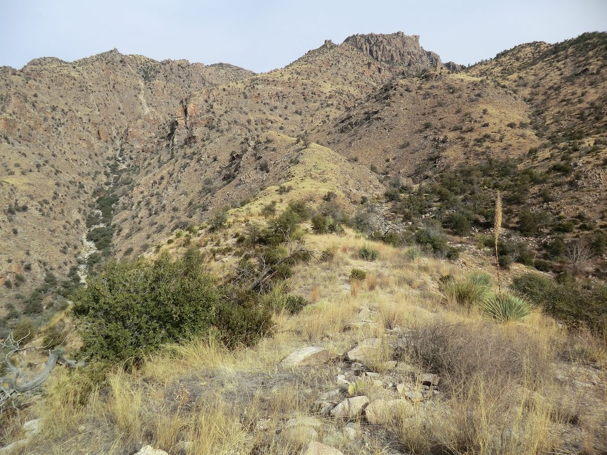 2012 December Ridge between Pine Canyon and Sycamore Canyon
