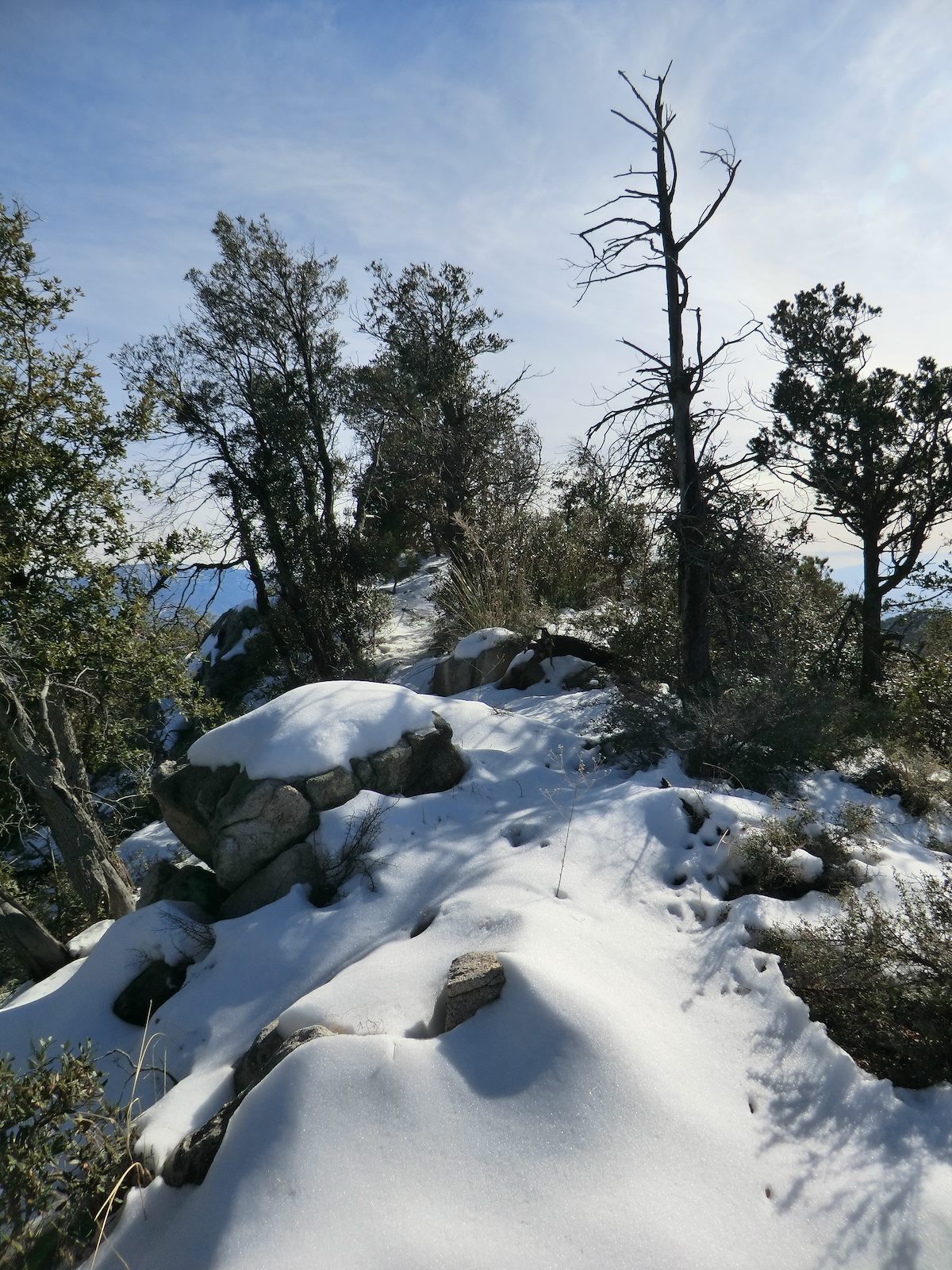 2012 December Trail to the viewpoint