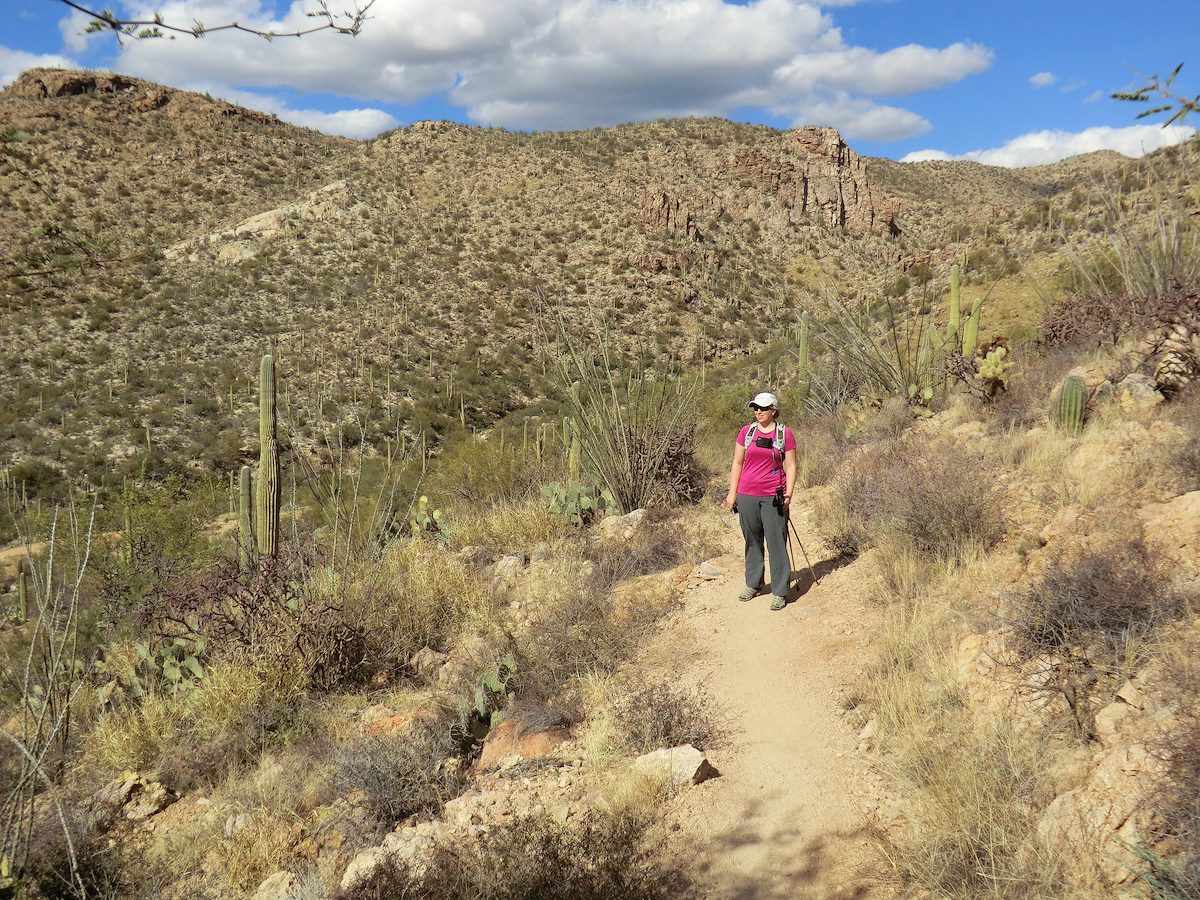 2012 February Alison near the start of the Agua Caliente Hill Trail