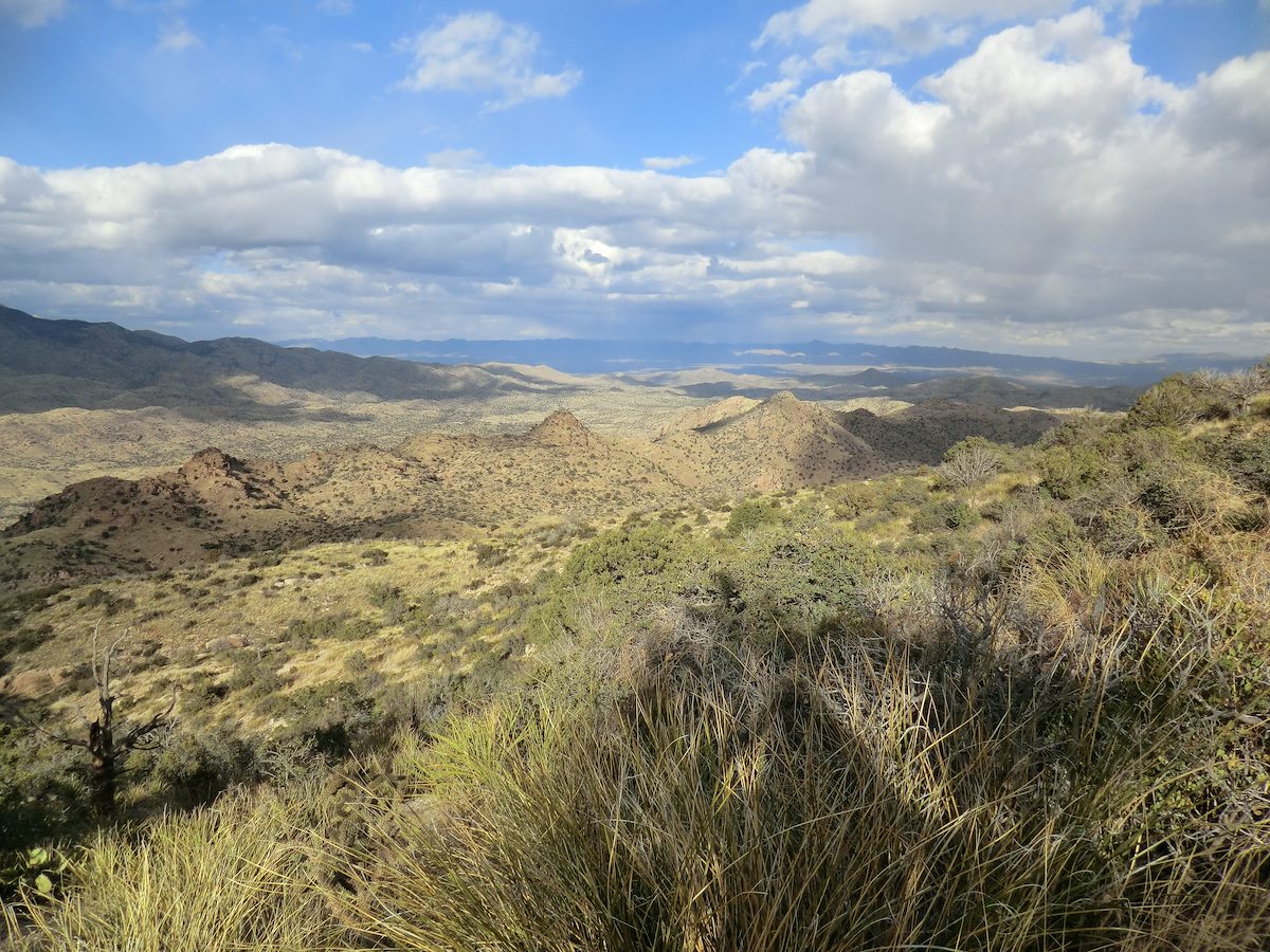 2012 February From the trail, nearing the Summit