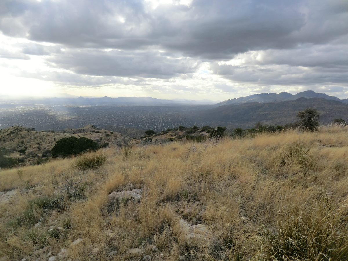 2012 February Looking across Tucson and the Catalinas from Agua Caliente