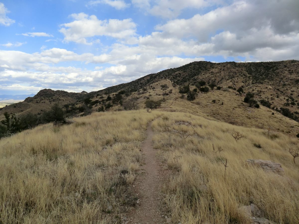 2012 February Trail heading towards the Summit