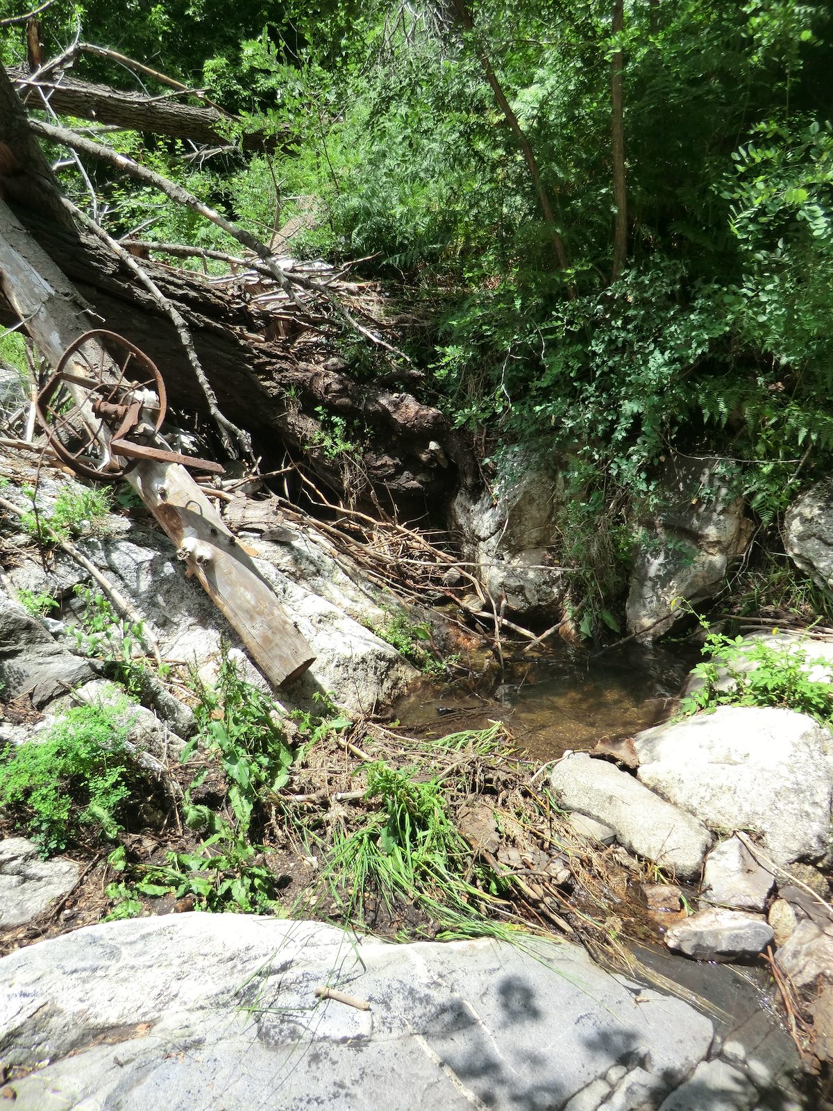 2012 July Alder Canyon Crossing the Crystal Spring Trail