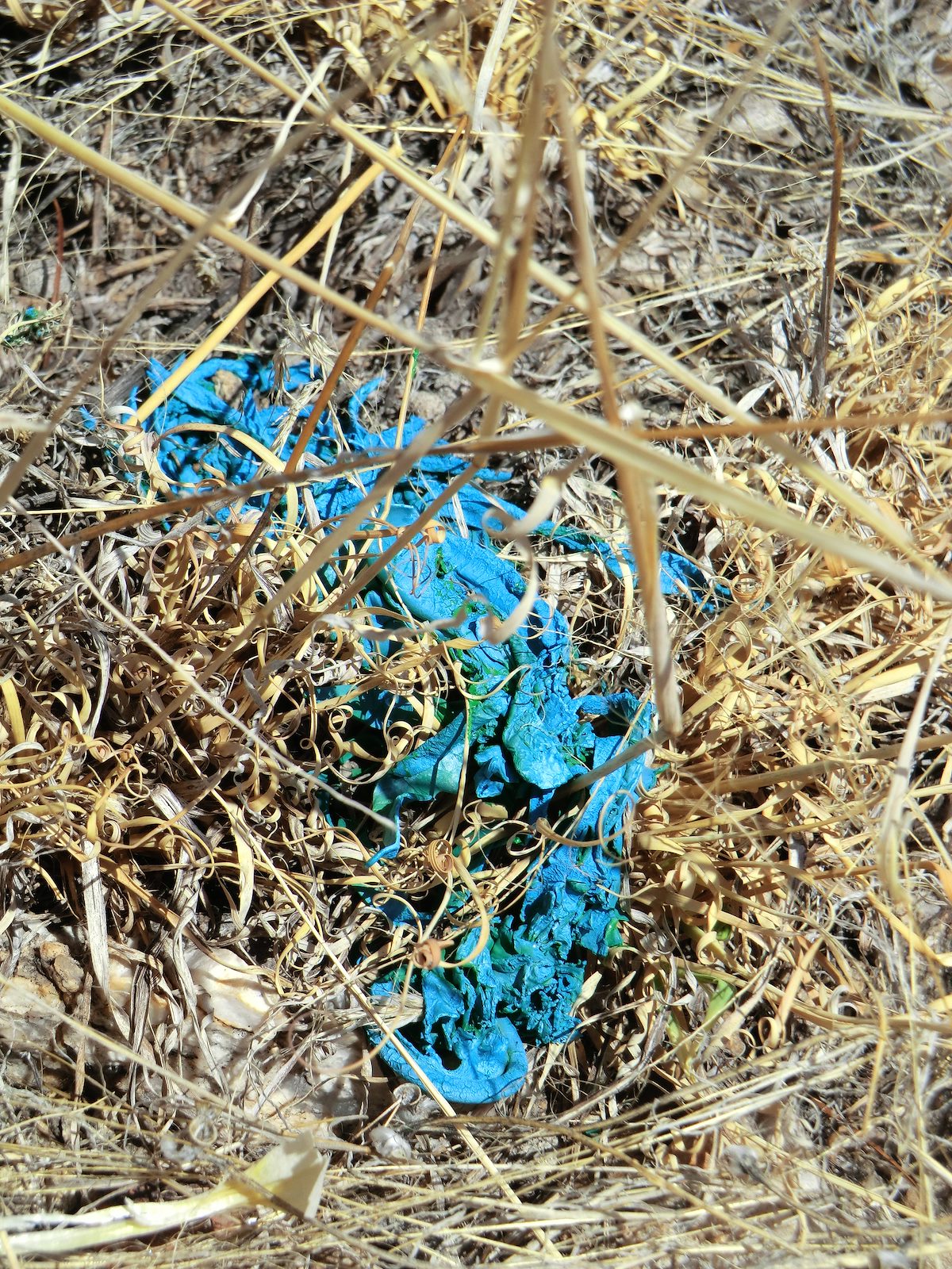 2012 July Balloon in the Gibbon Mountain Area