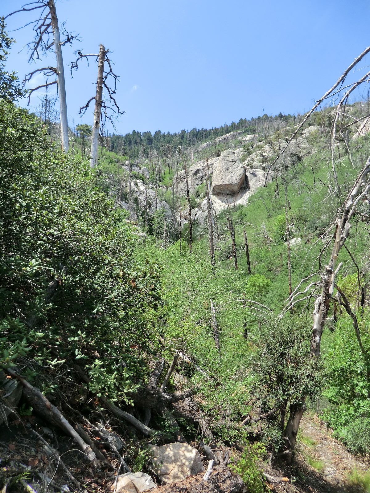2012 July Green Growth and Rock
