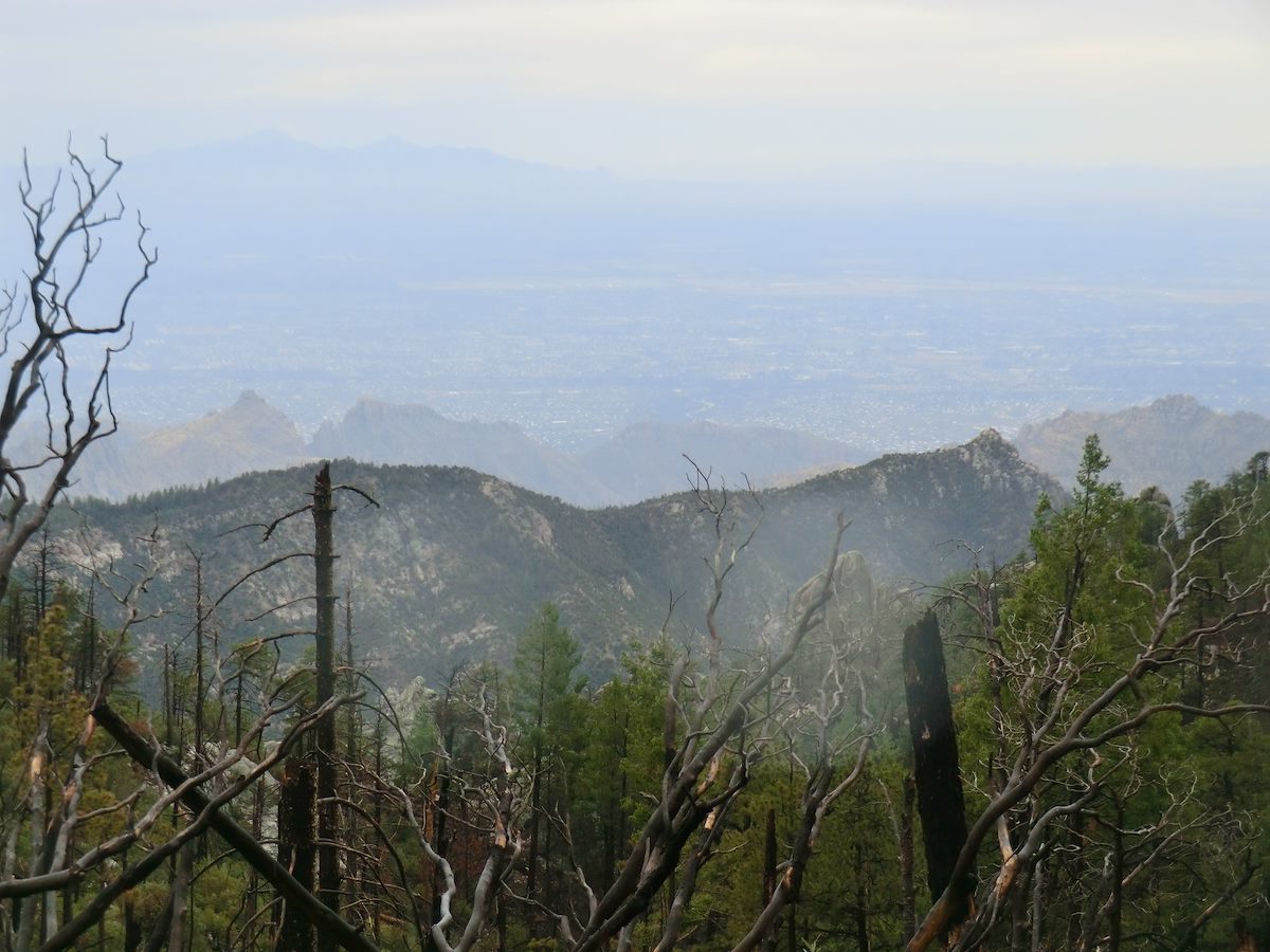 2012 July Looking down on the Sabino East Ridge and Brinkley Point