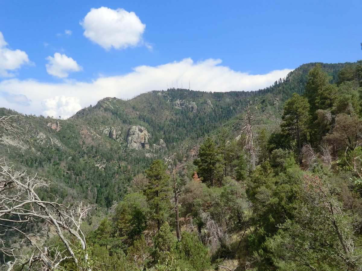 2012 July Looking up at Mount Bigelow