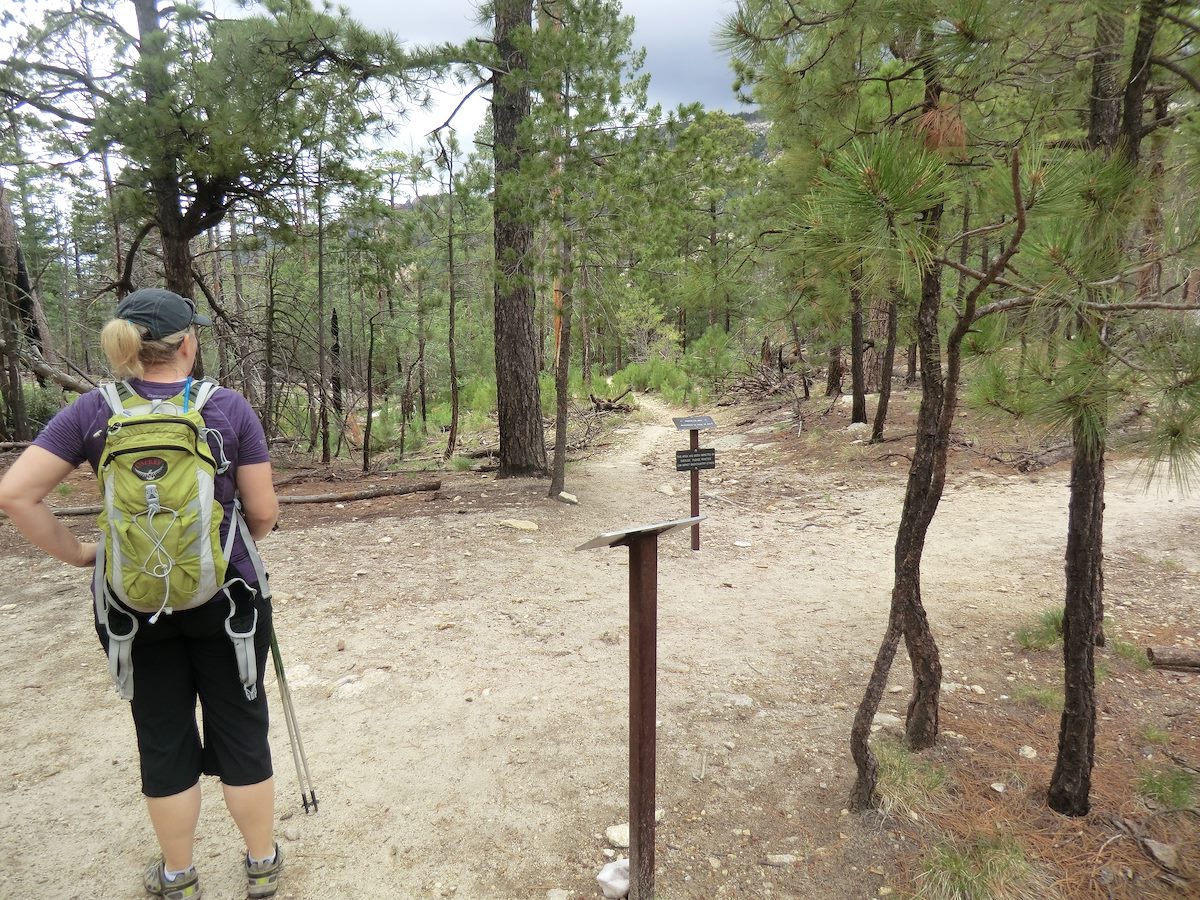 2012 July Trail Junction