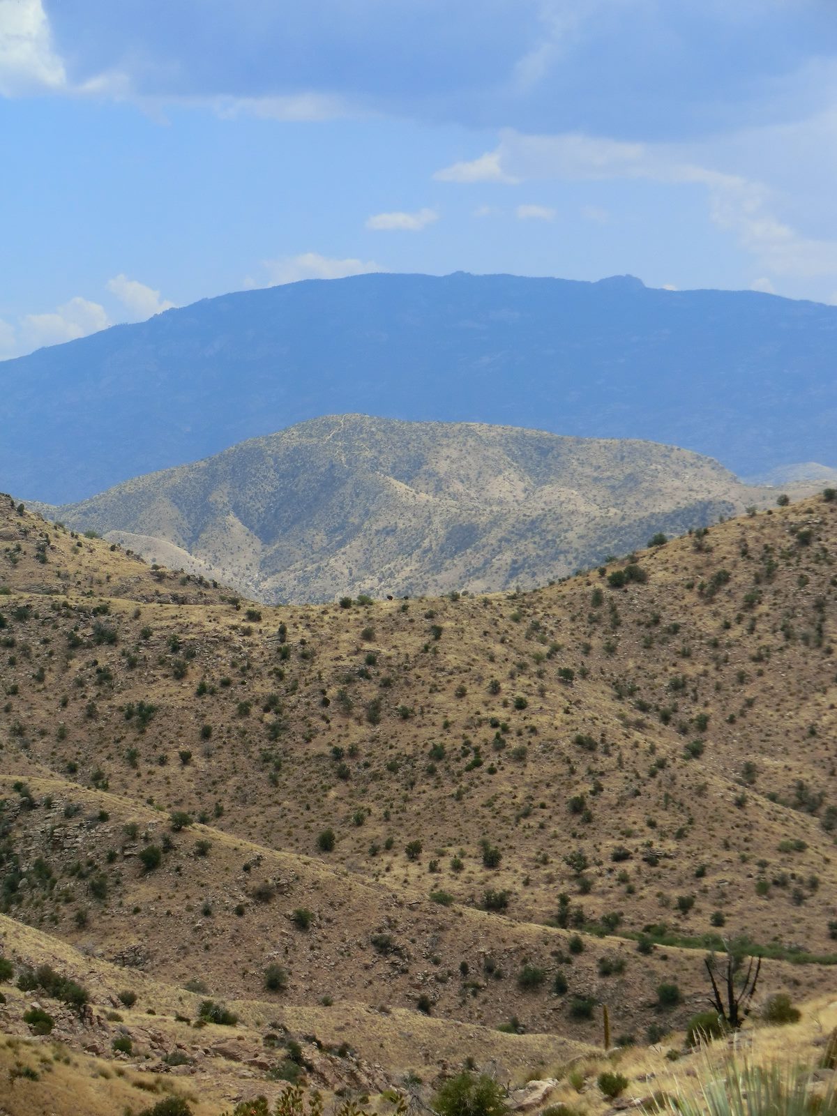 2012 June Agua Caliente Hill