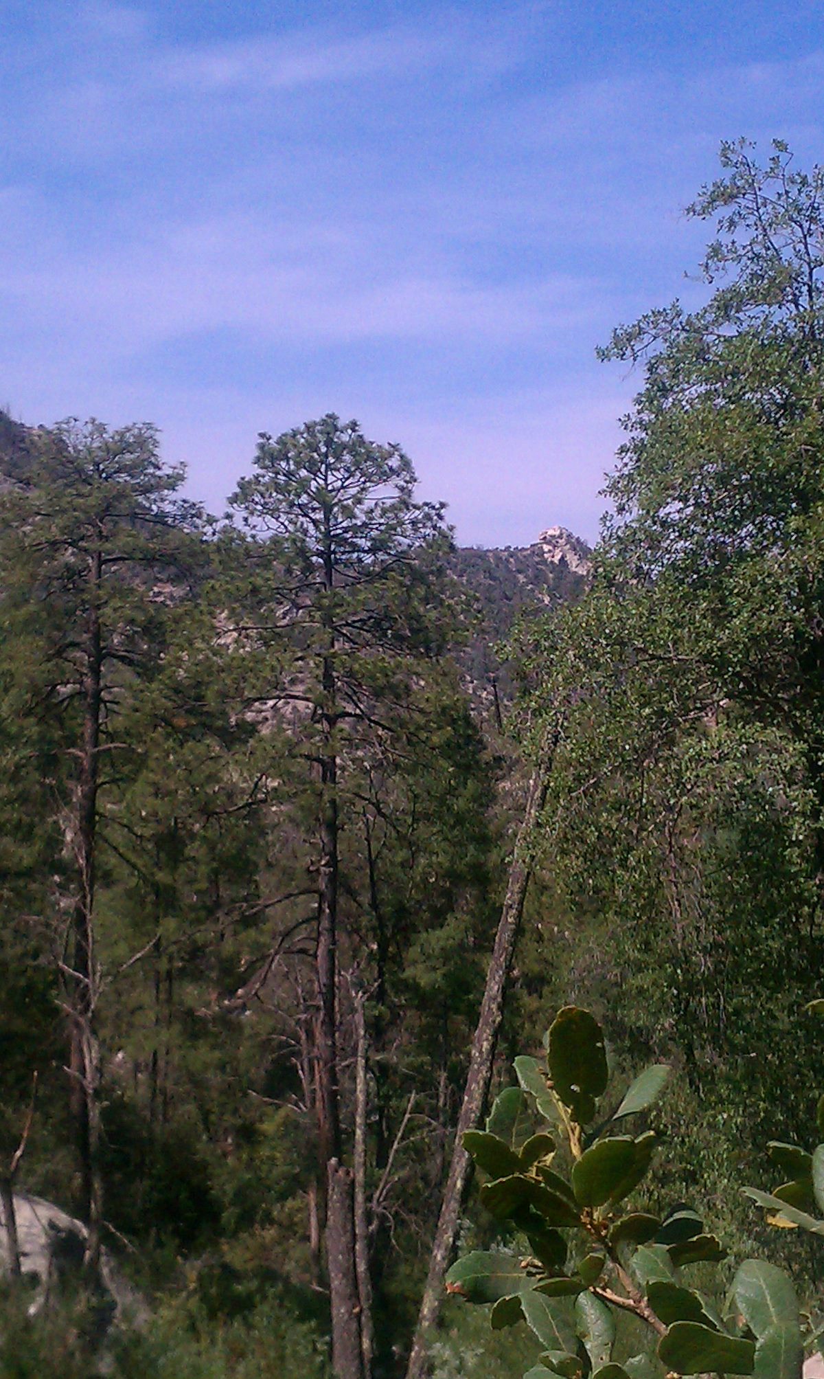 2012 June Brinkley Point in the Distance