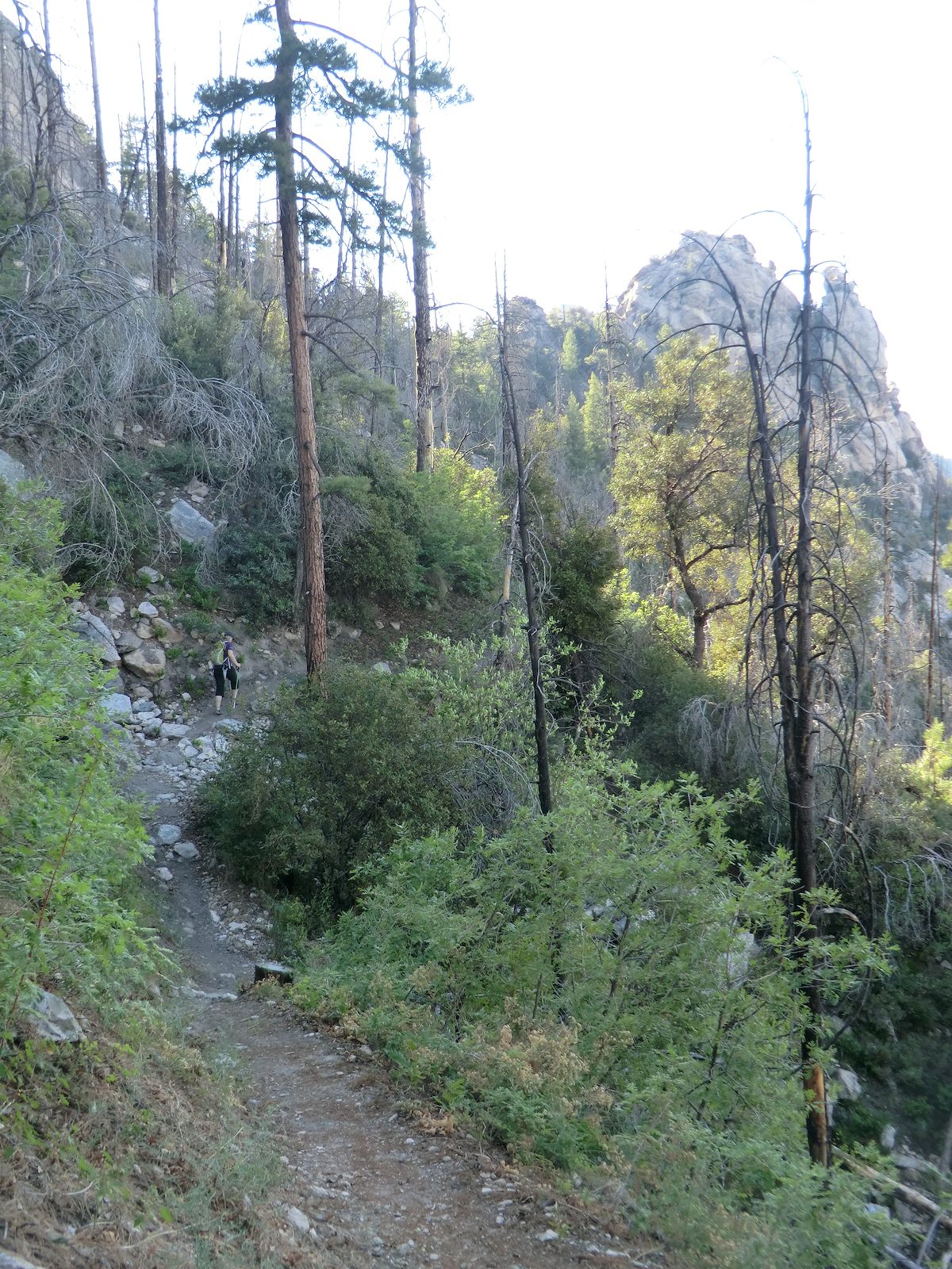 2012 June Headed back up the Green Mountain Trail