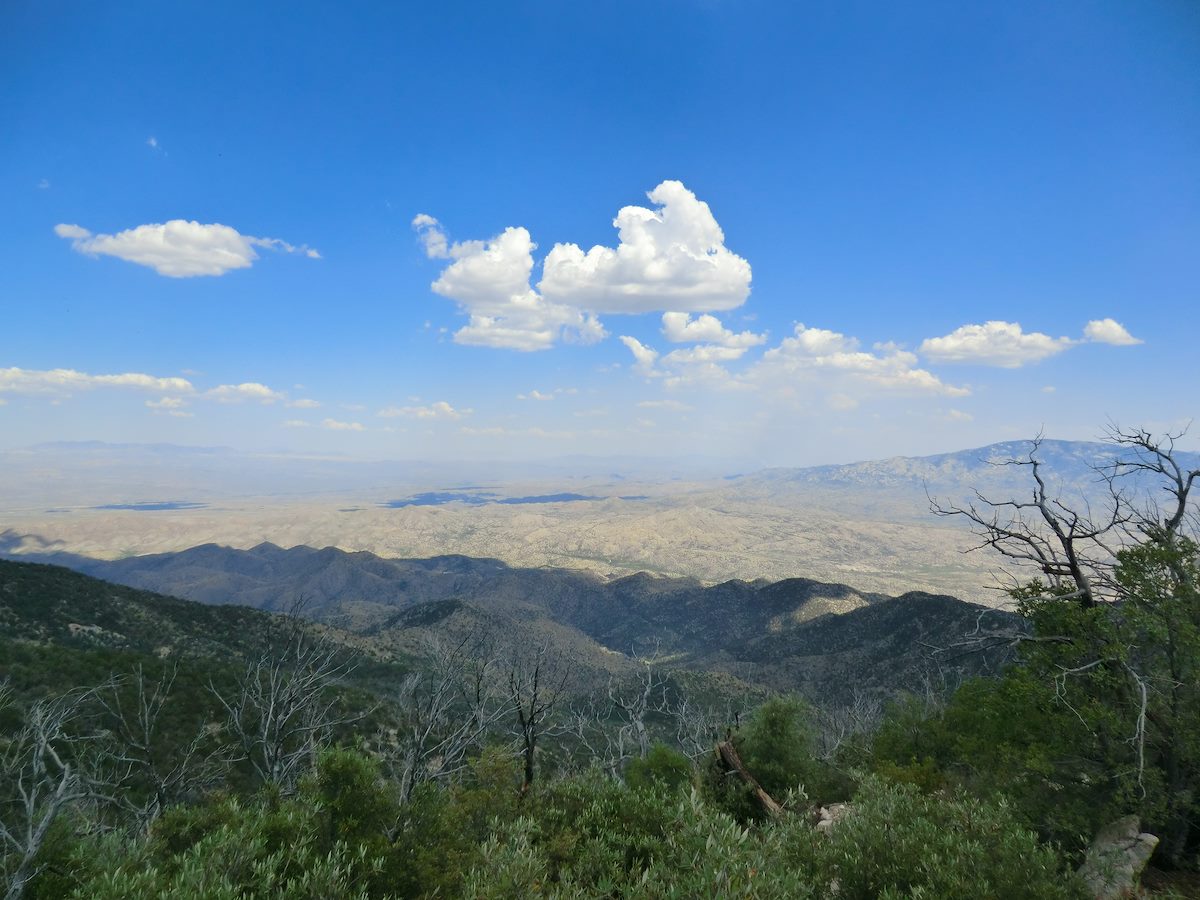 2012 June Looking towards the Rincons from Guthrie Mountain