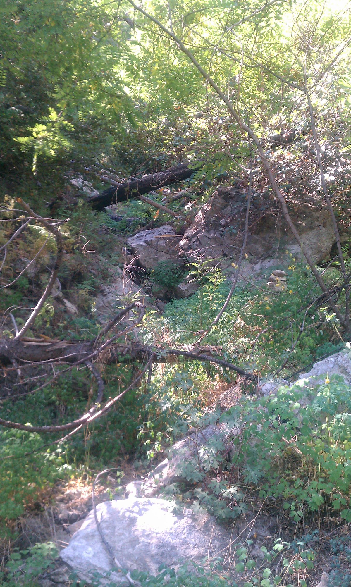 2012 June Path down the drainage