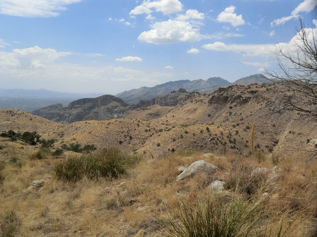 2012 June Sabino Canyon East Ridge