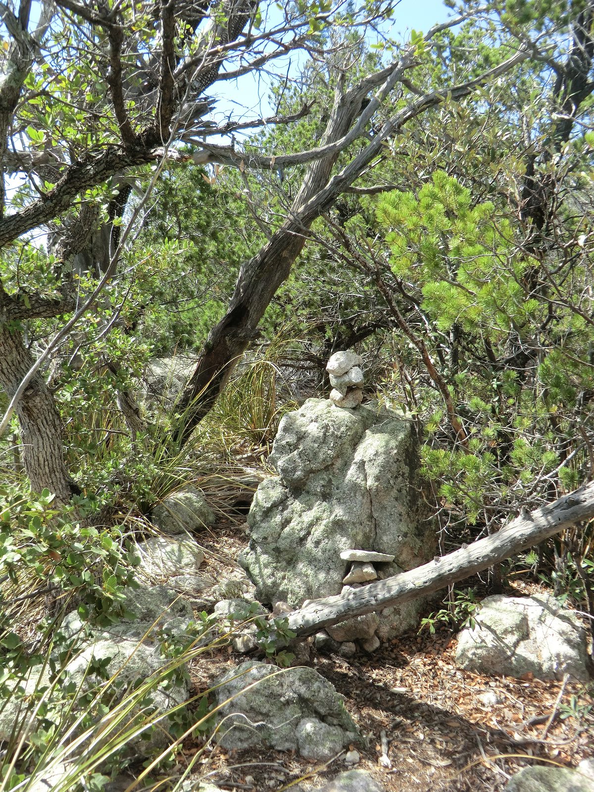 2012 June Summit Register