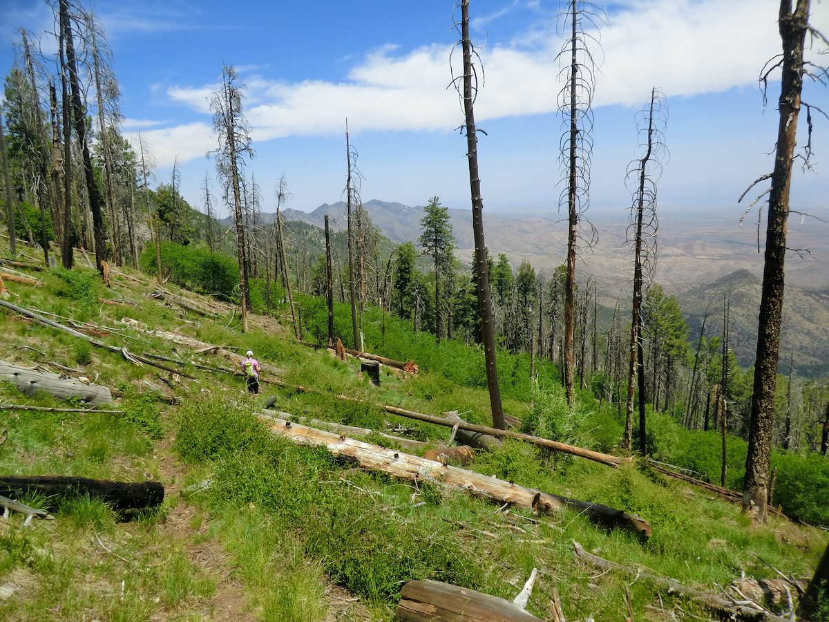 2012 June Top of the Knagge Trail