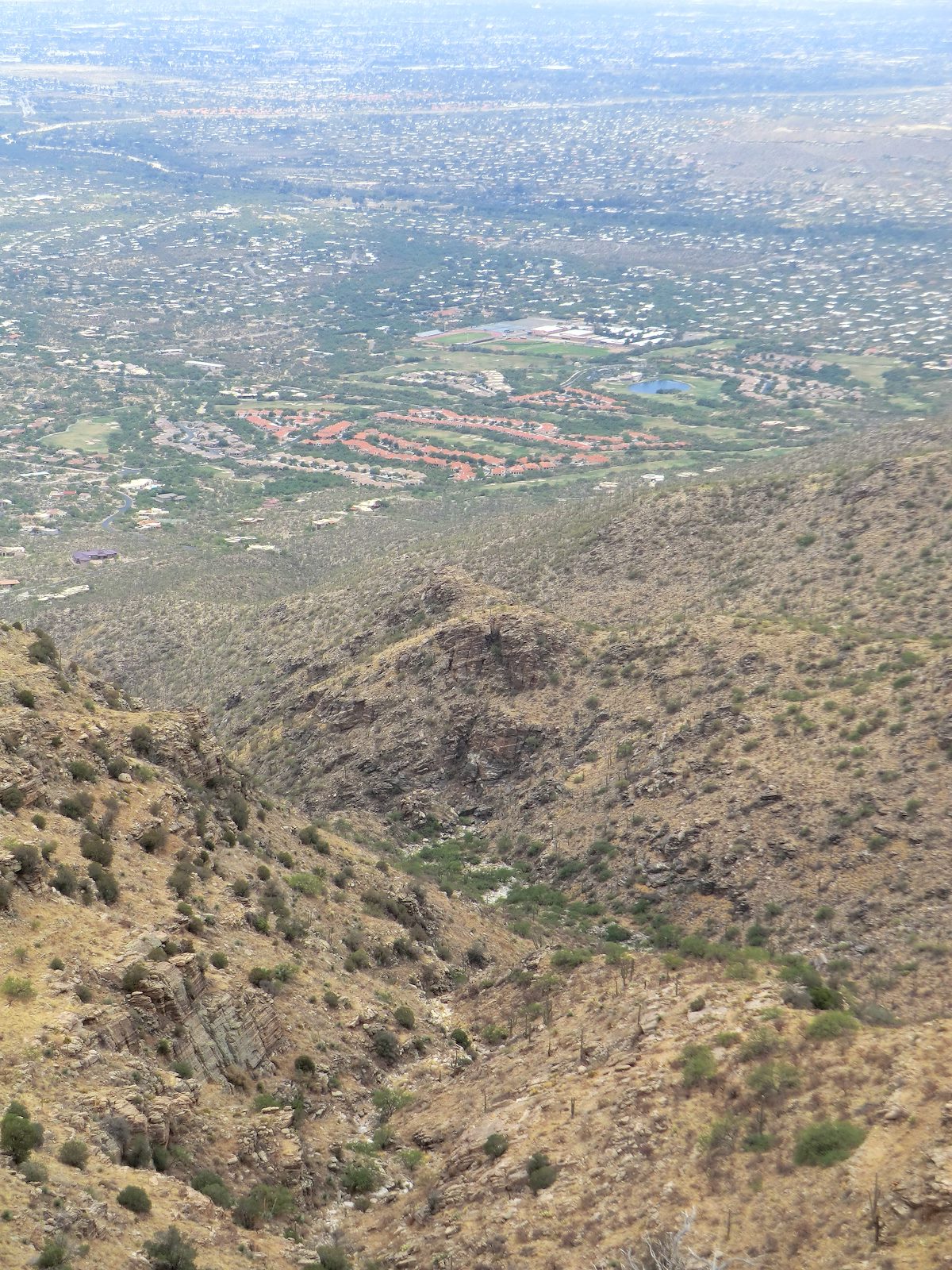 2012 June View down into the canyon below Gibbon Mountain
