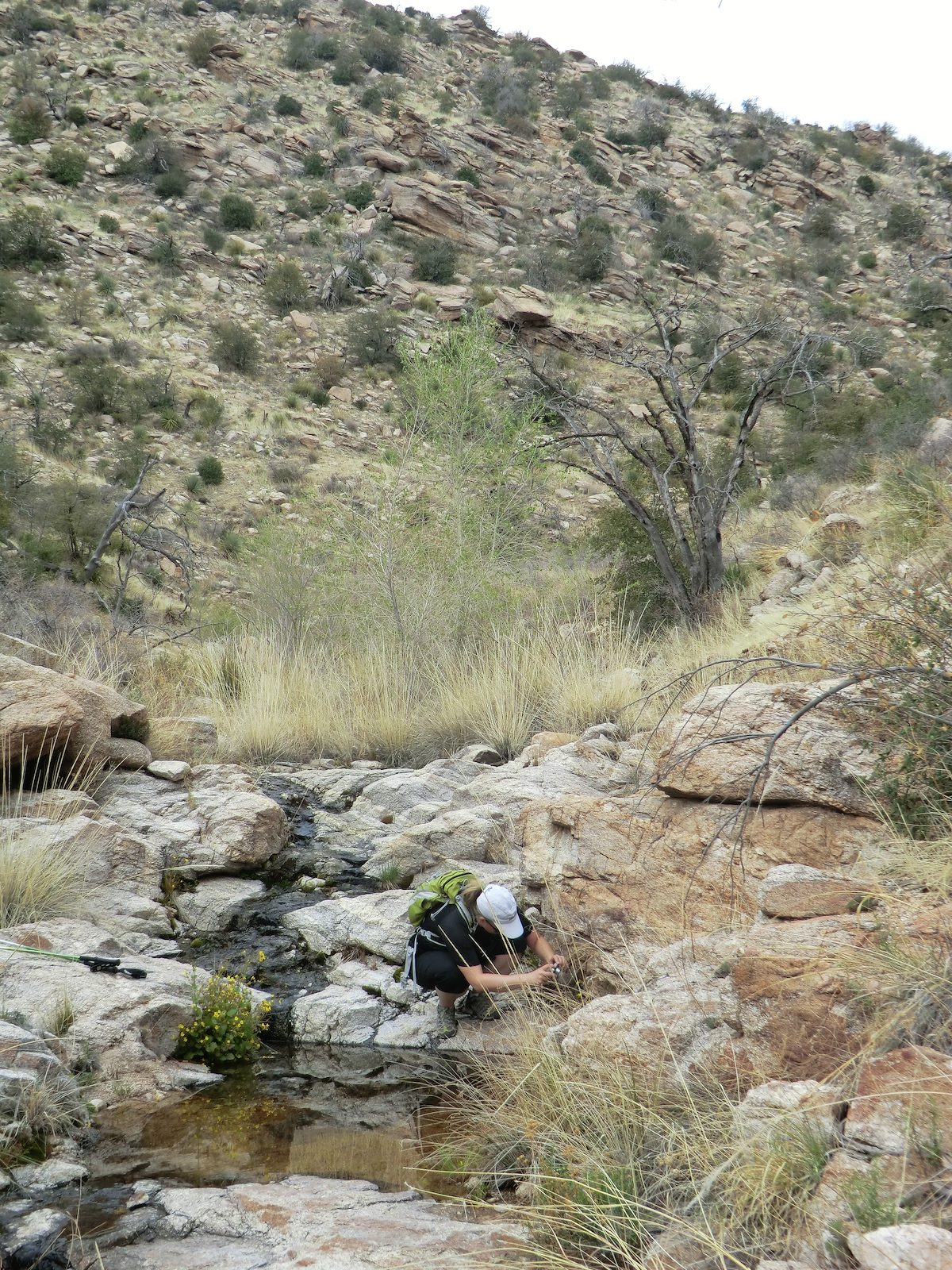 2012 March Alison taking a picture of a pool Bug Spring Canyon