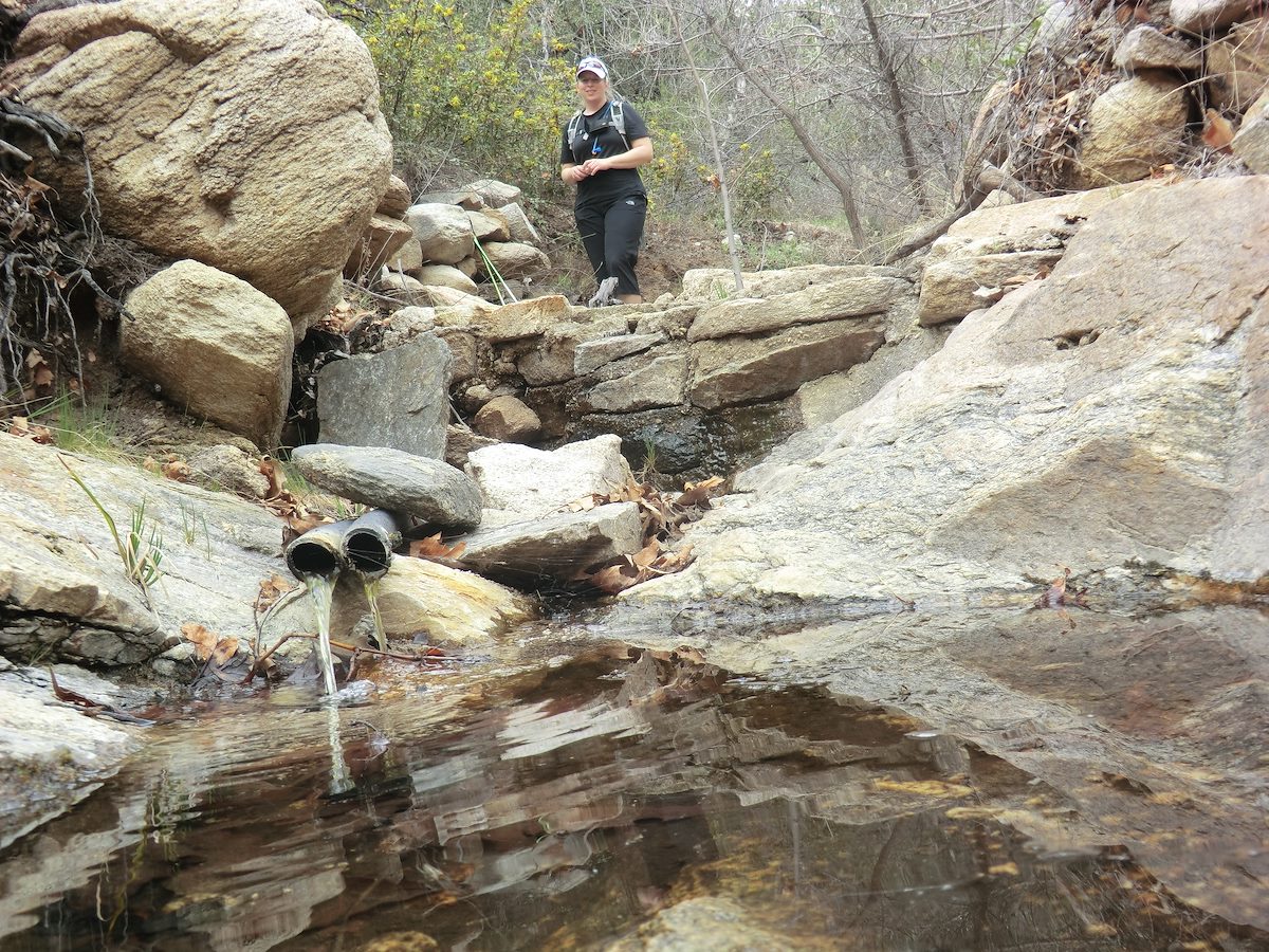 2012 March Bug Spring