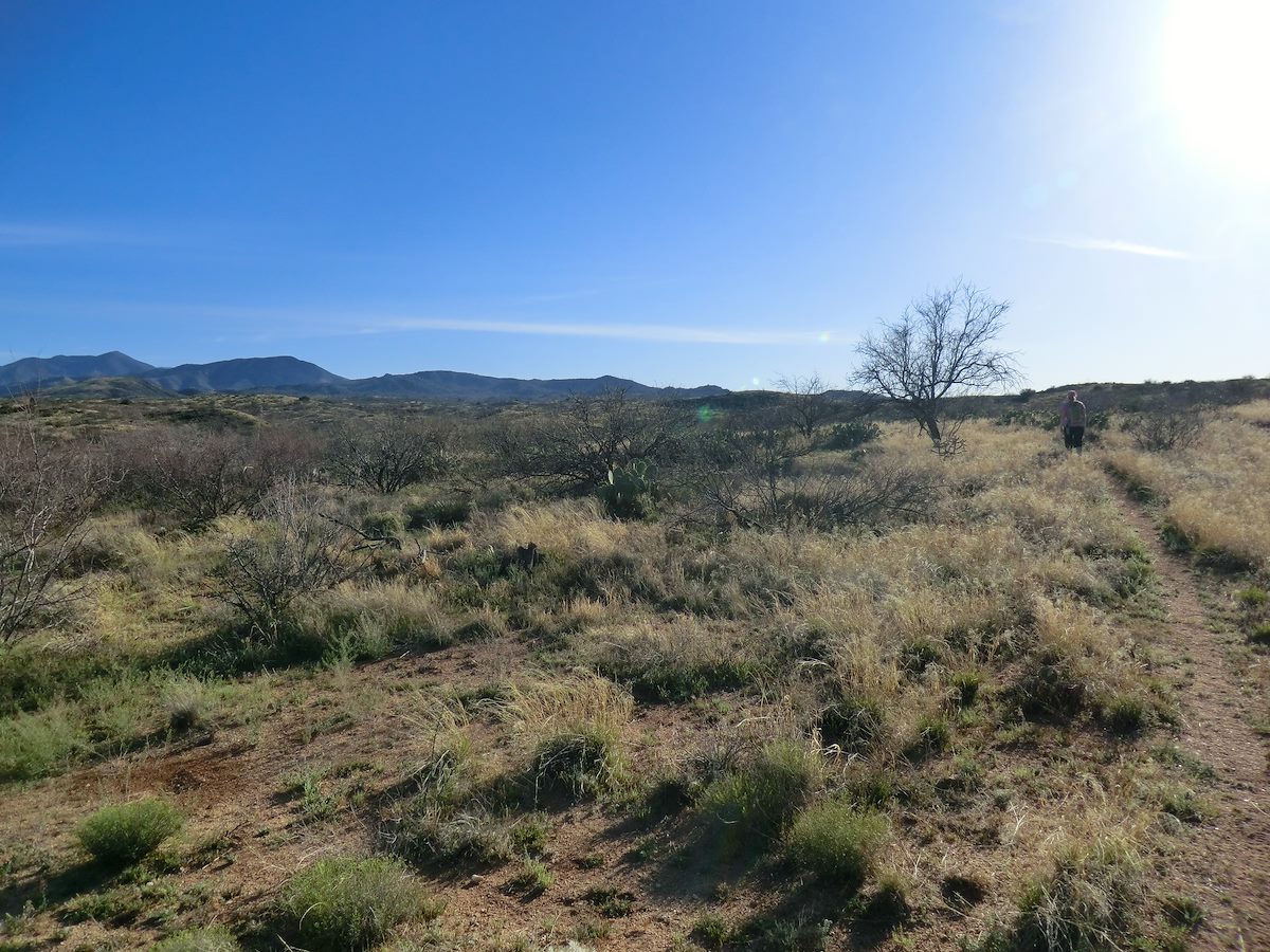 2012 March Headed back to the Kannally Ranch House