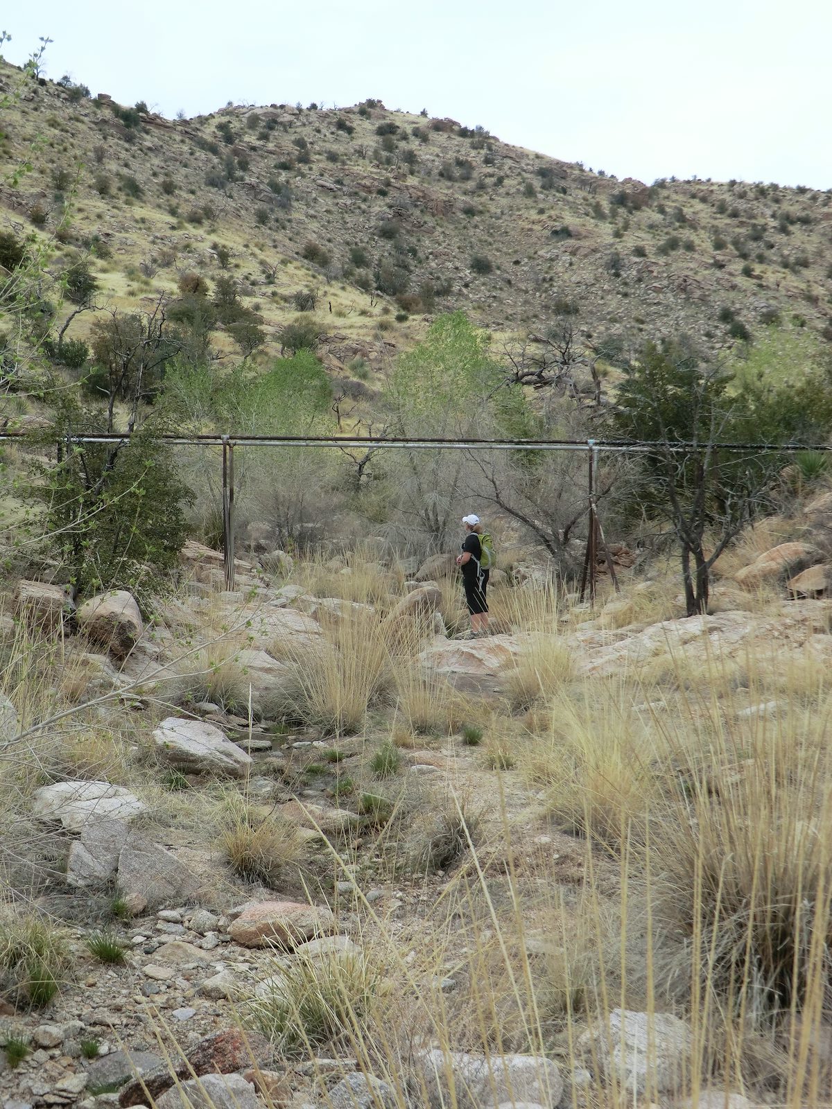 2012 March Old pipes coming down from Bug Spring to the tank above Pri
