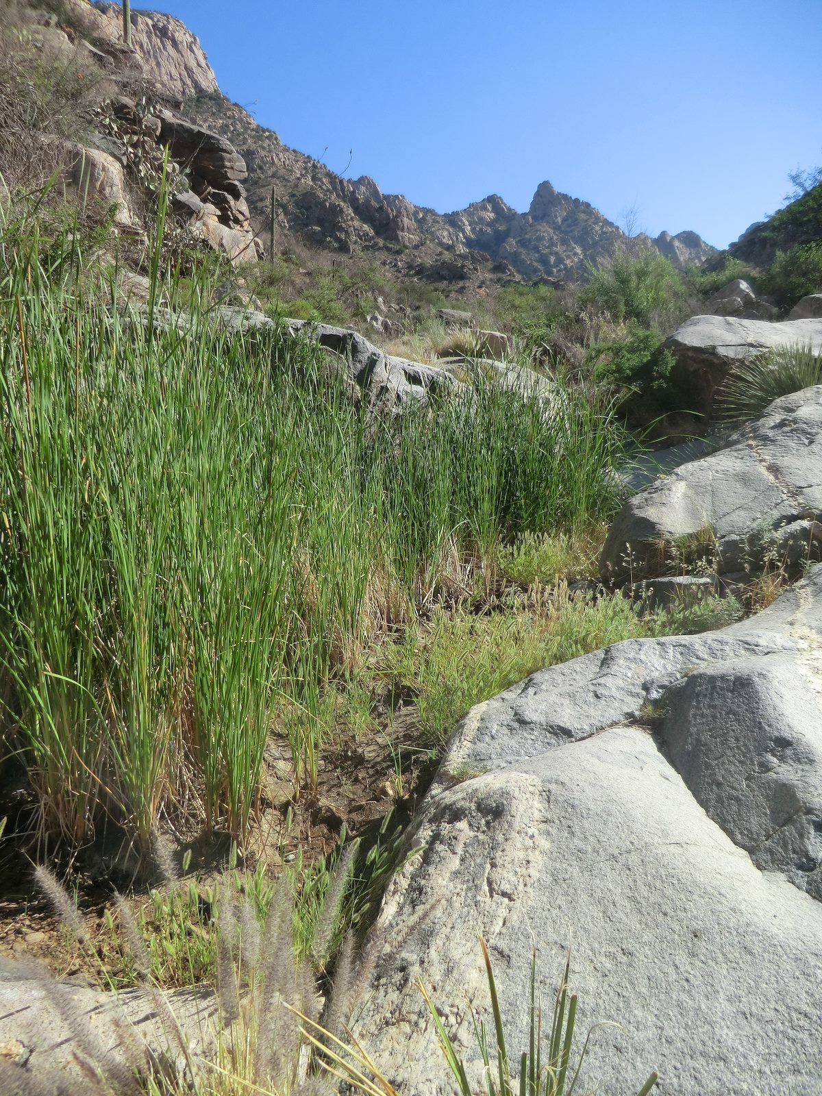 2012 May Above the dam