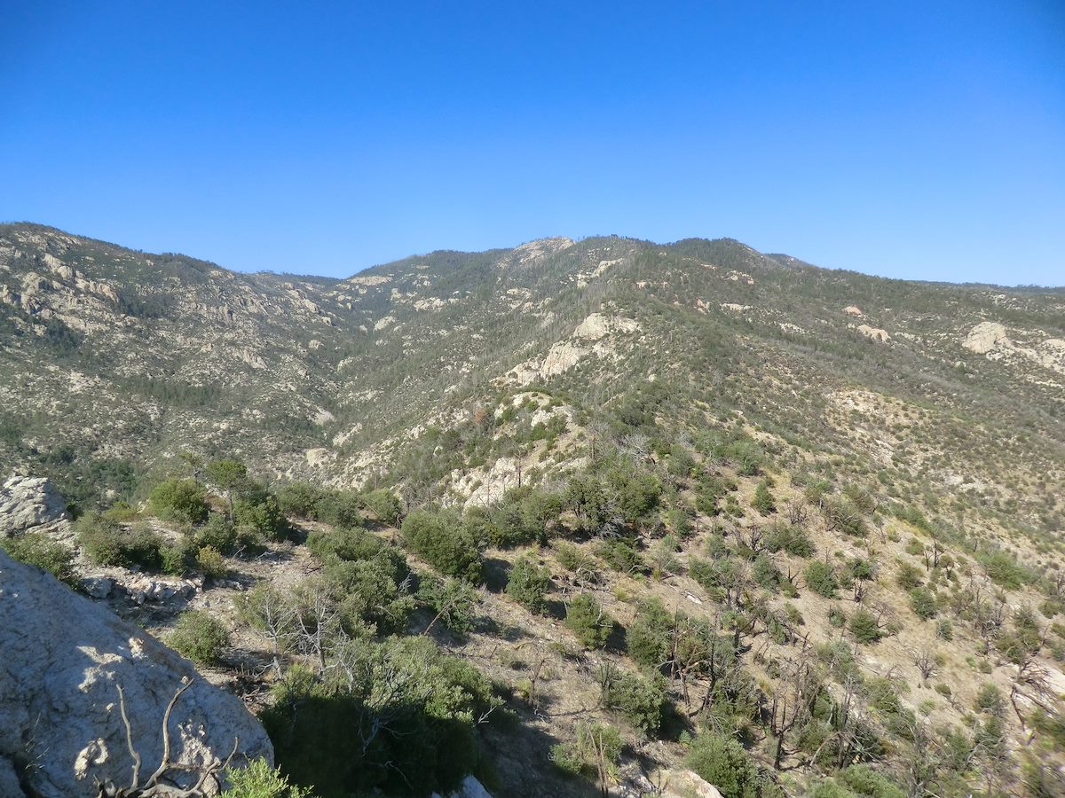 2012 May Looking back up Sabino Canyon from Brinkley Point