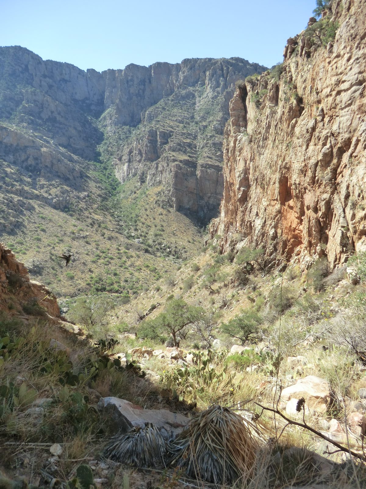 2012 May Looking down the Gully up to Table Mountain