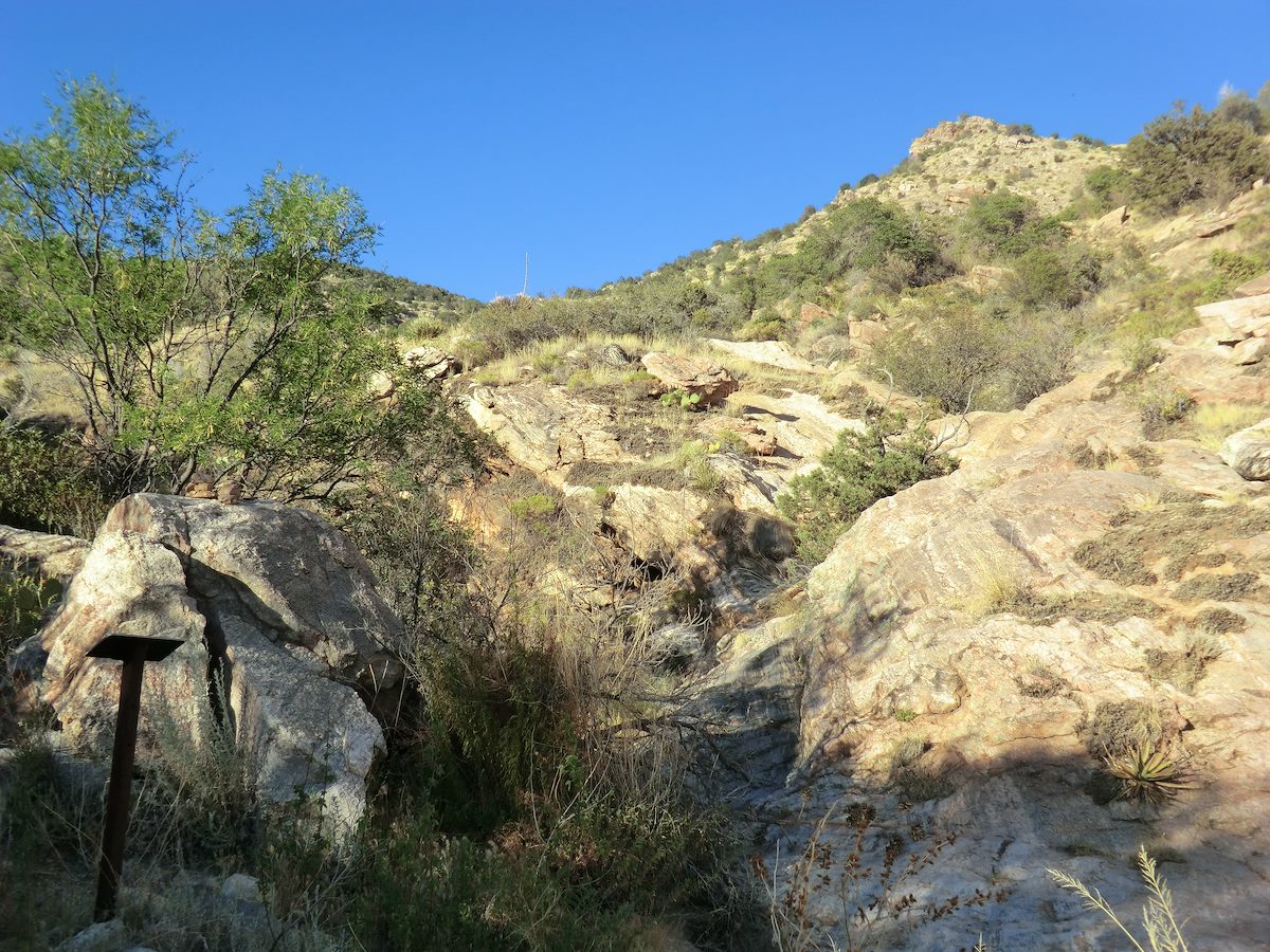 2012 May Looking up canyon from the end of the Pontatoc Canyon Trail
