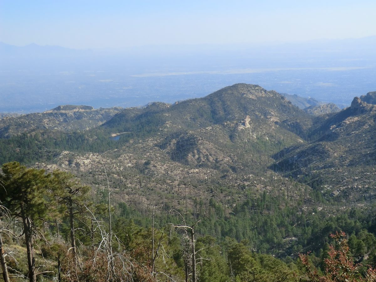 2012 May Rose Lake and Sycamore Canyon