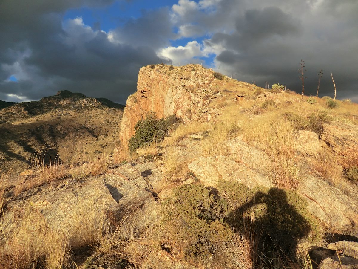 2012 November A View of the Top