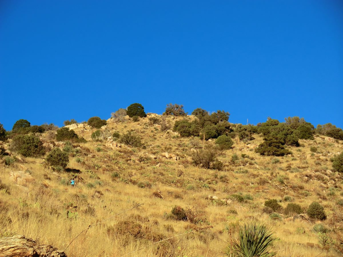 2012 November Alison on the Pontatoc Canyon Trail