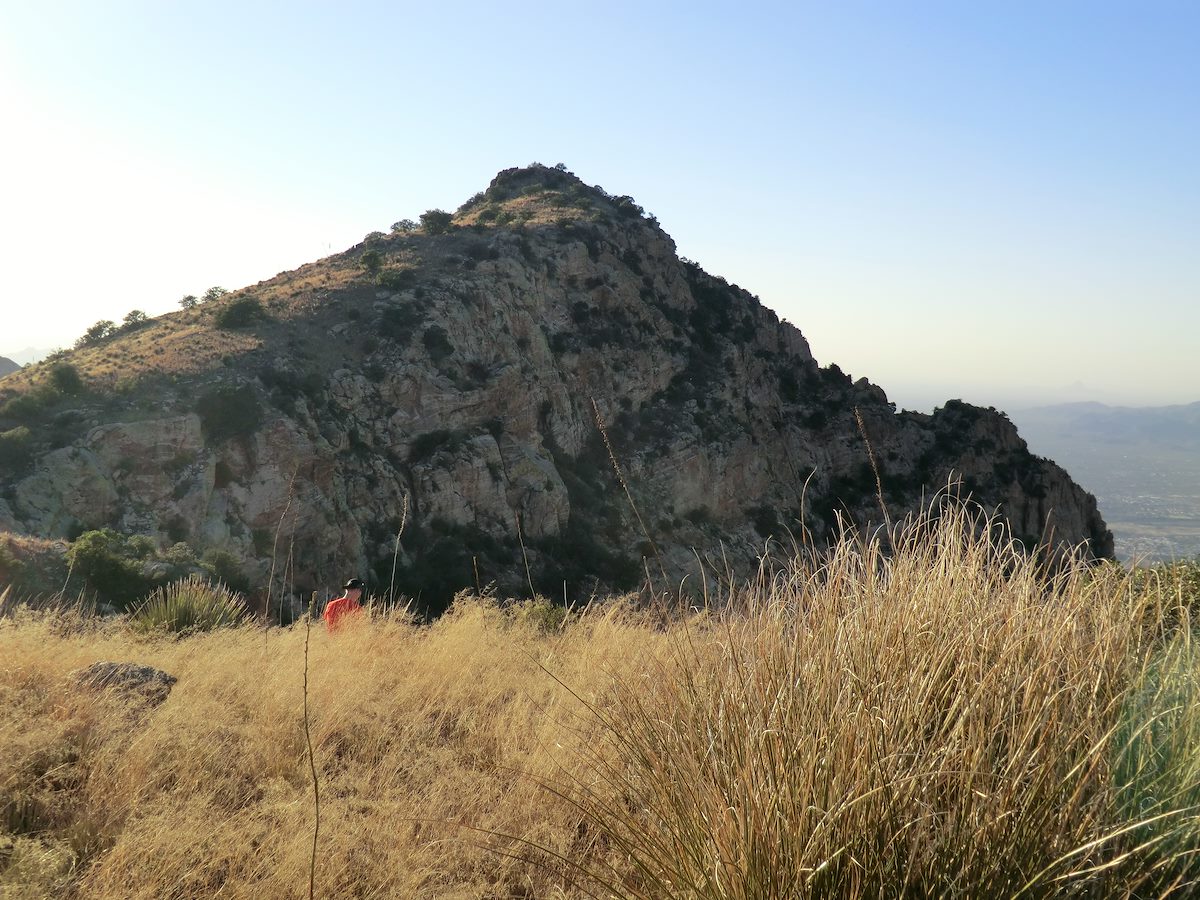 2012 November Bighorn from Point 5462