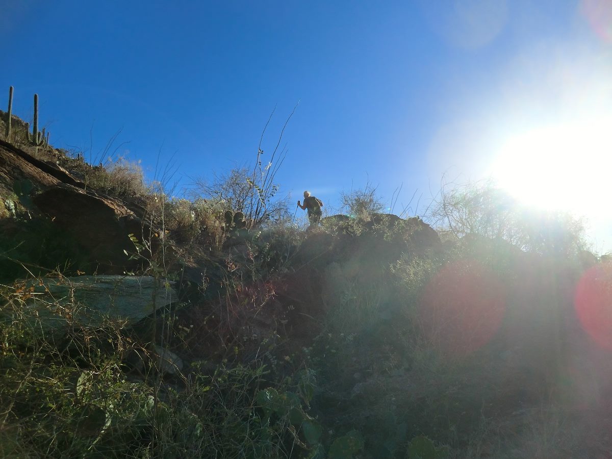 2012 November Lazy Day in Pontatoc Canyon