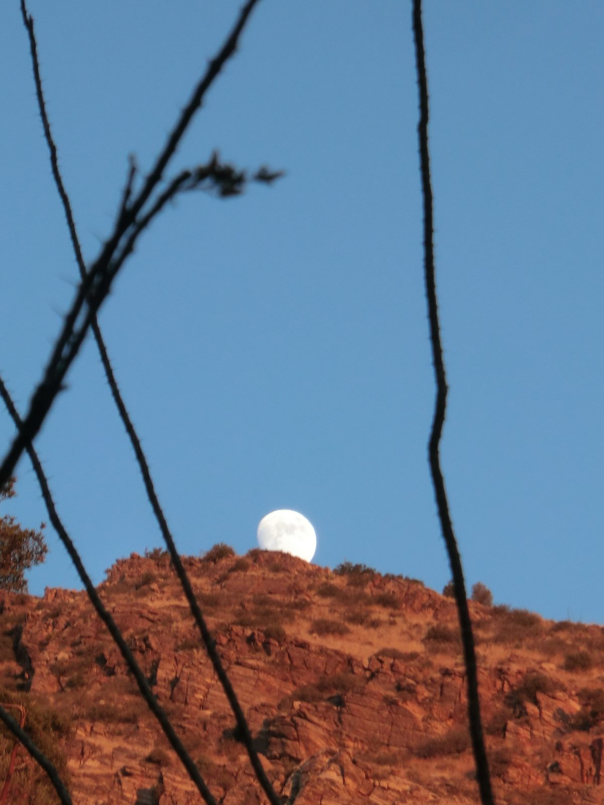 2012 November Moon Rising over Pontatoc Ridge
