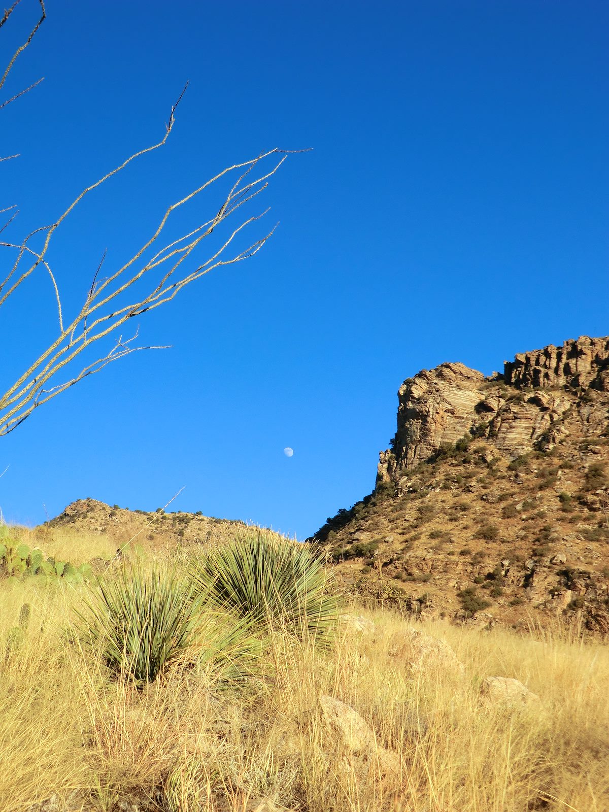 2012 November Point 5391 and Moon from the Pontatoc Canyon Trail