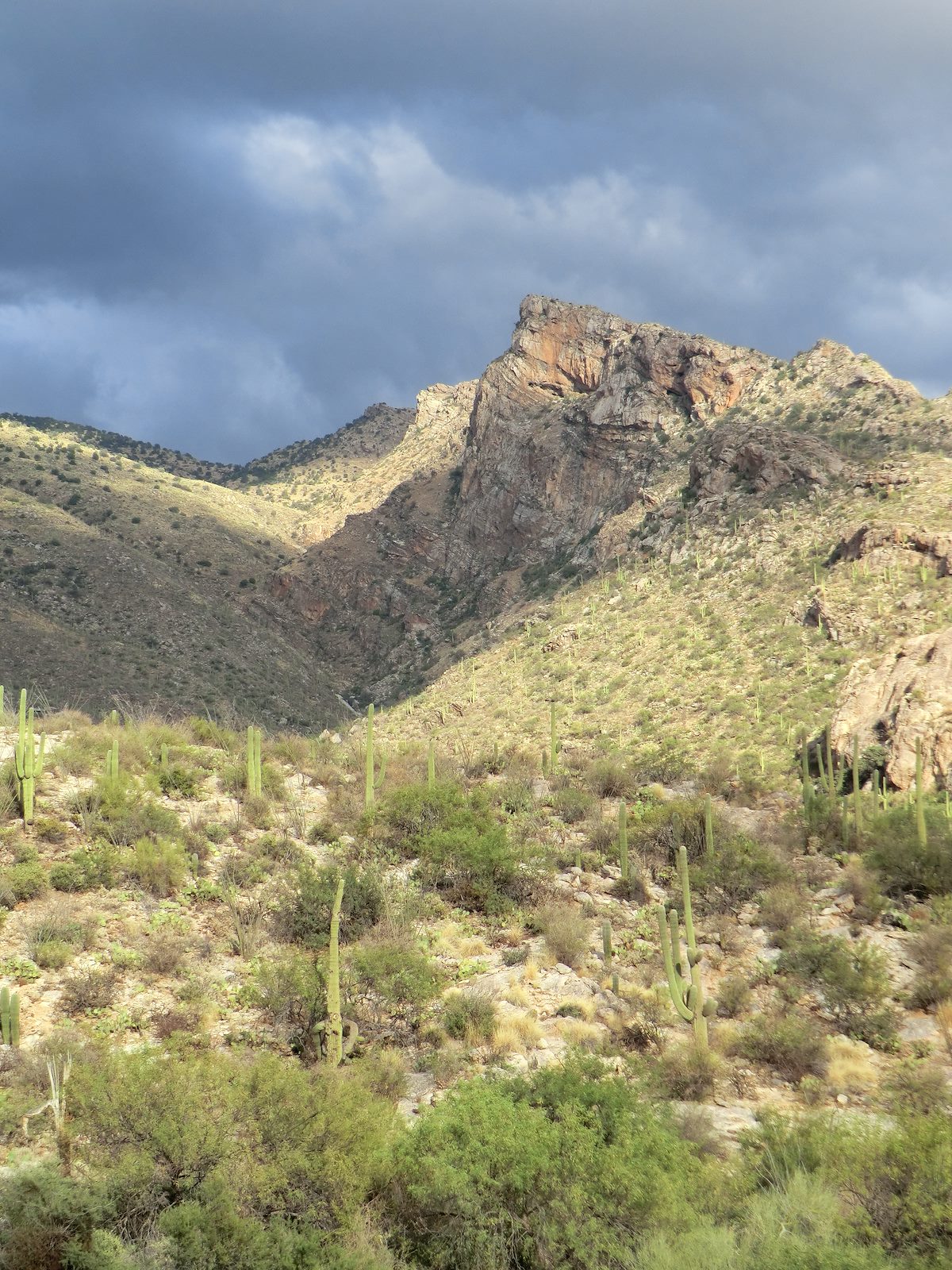 2012 November Pontatoc Ridge