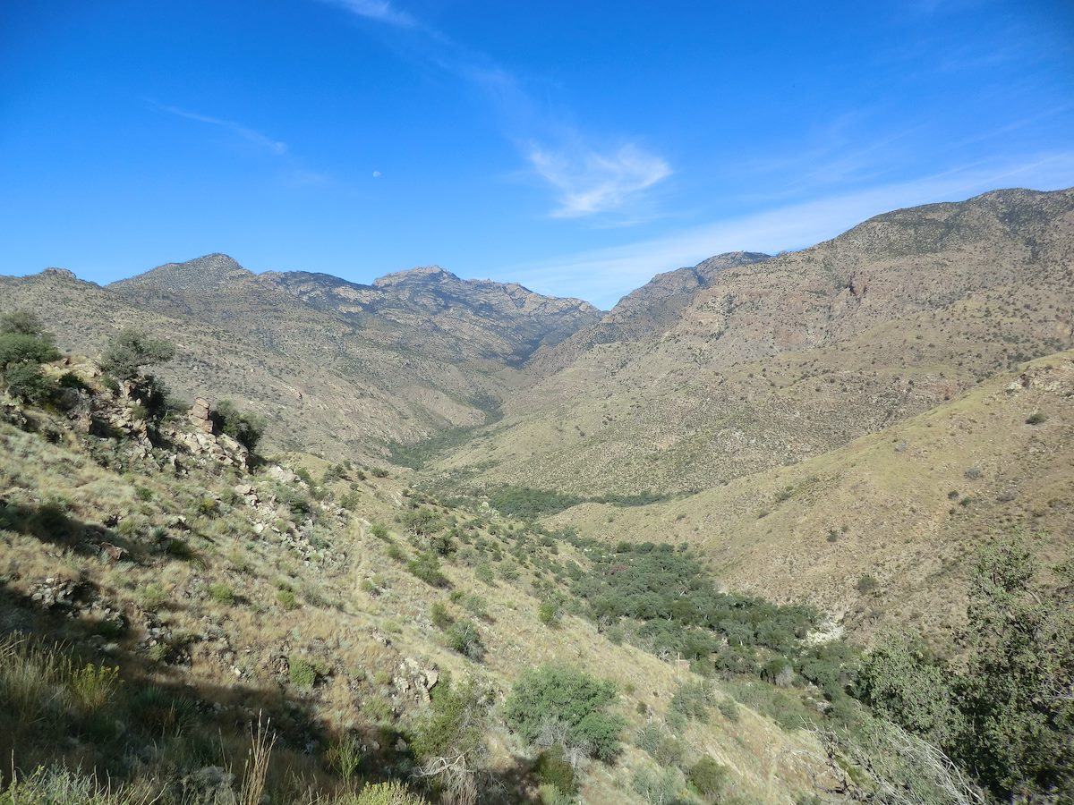 2012 October Looking West on the East Fork Trail