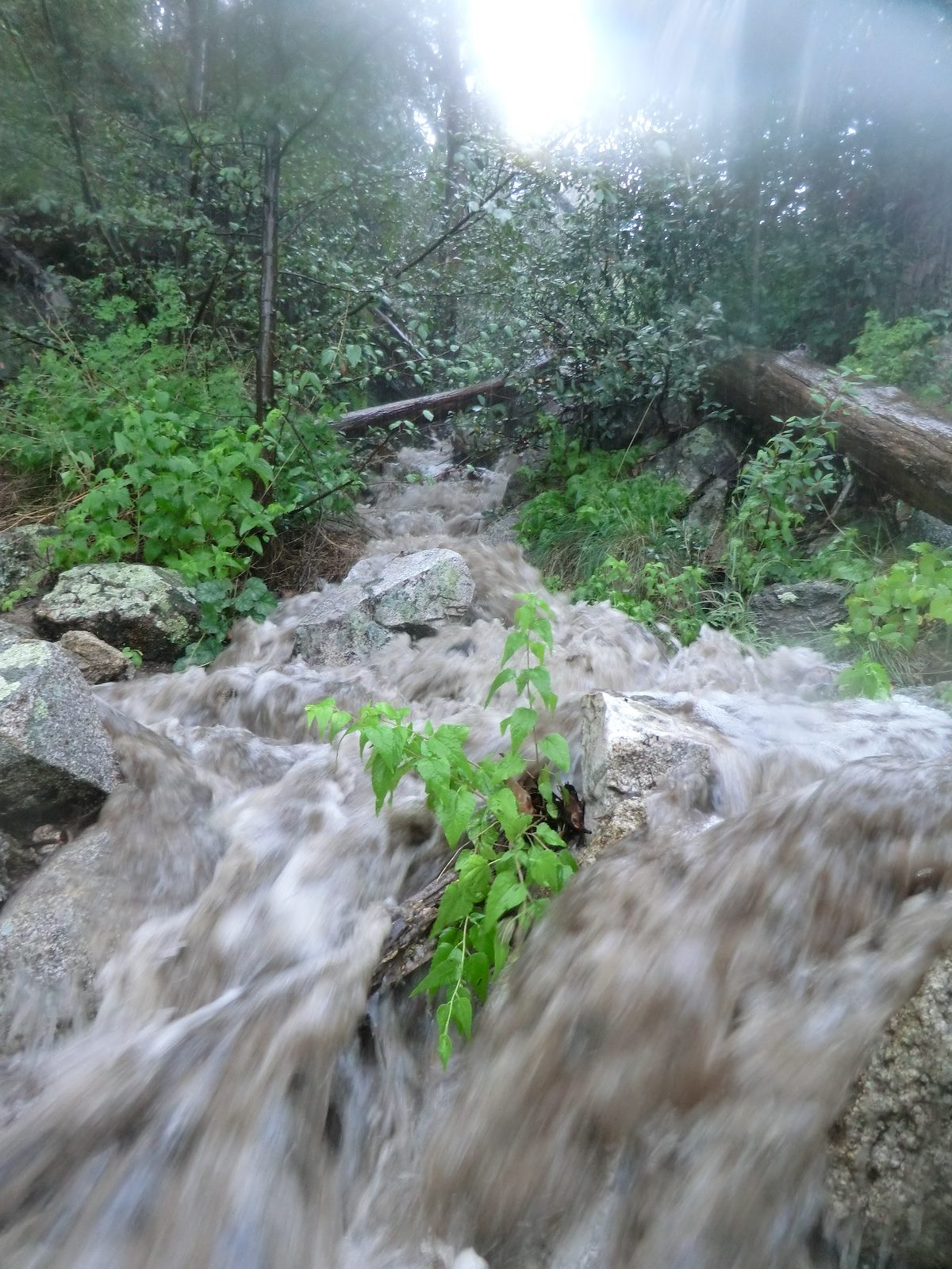 2012 September Full stream above Maverick Spring