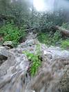 2012 September Full stream above Maverick Spring