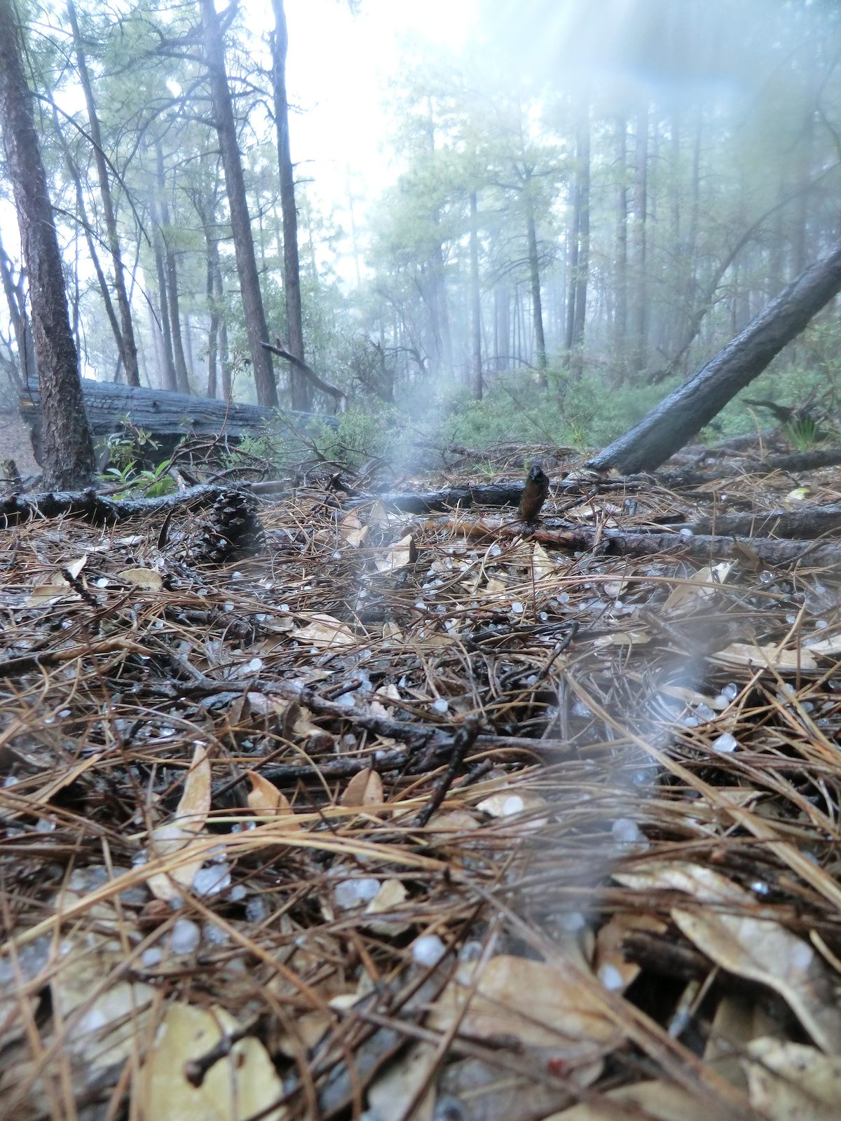 2012 September Hail!