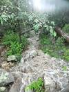 2012 September Rushing water near Maverick Spring