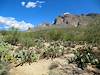 2012 September West Side of the Santa Catalina Mountains