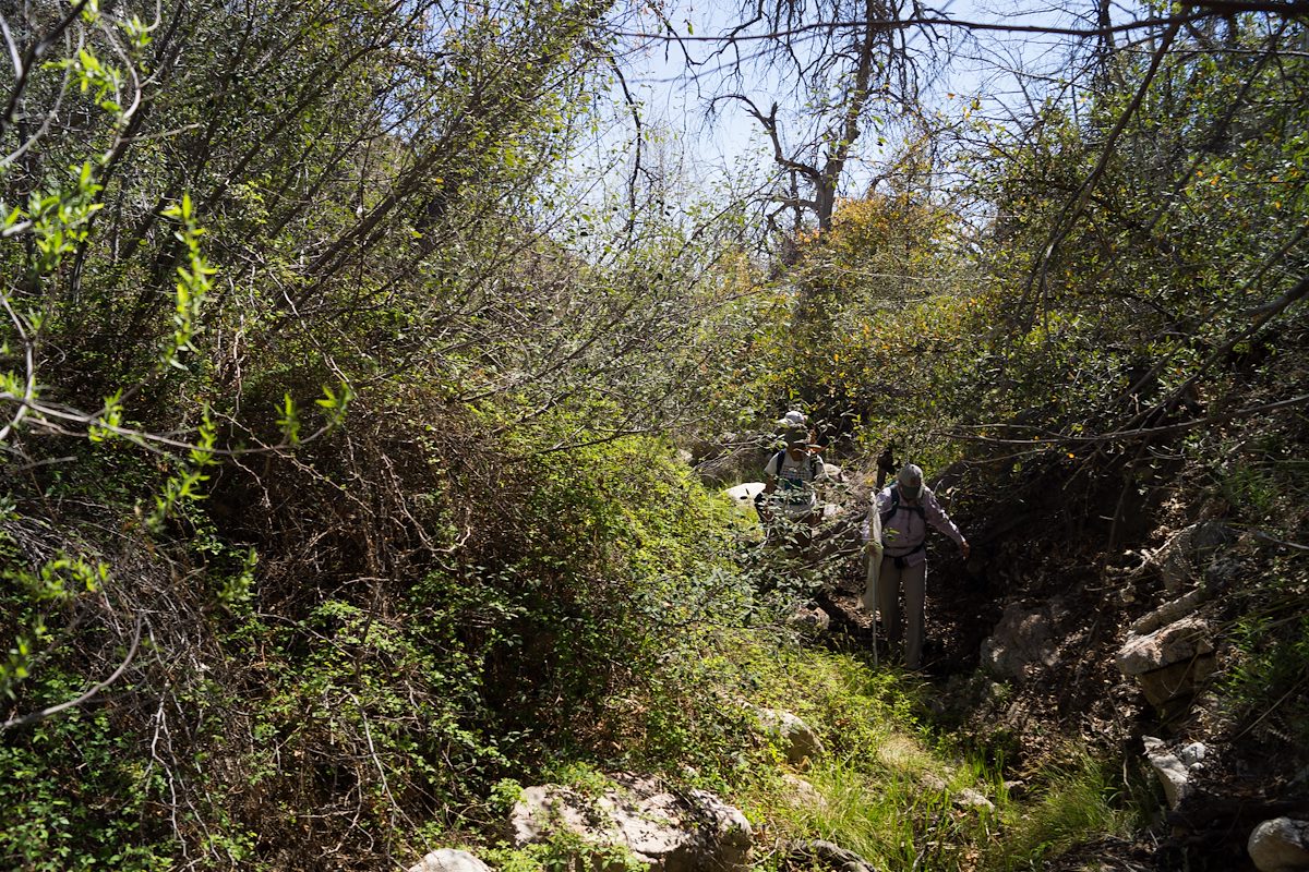 2013 April Bug Spring Area