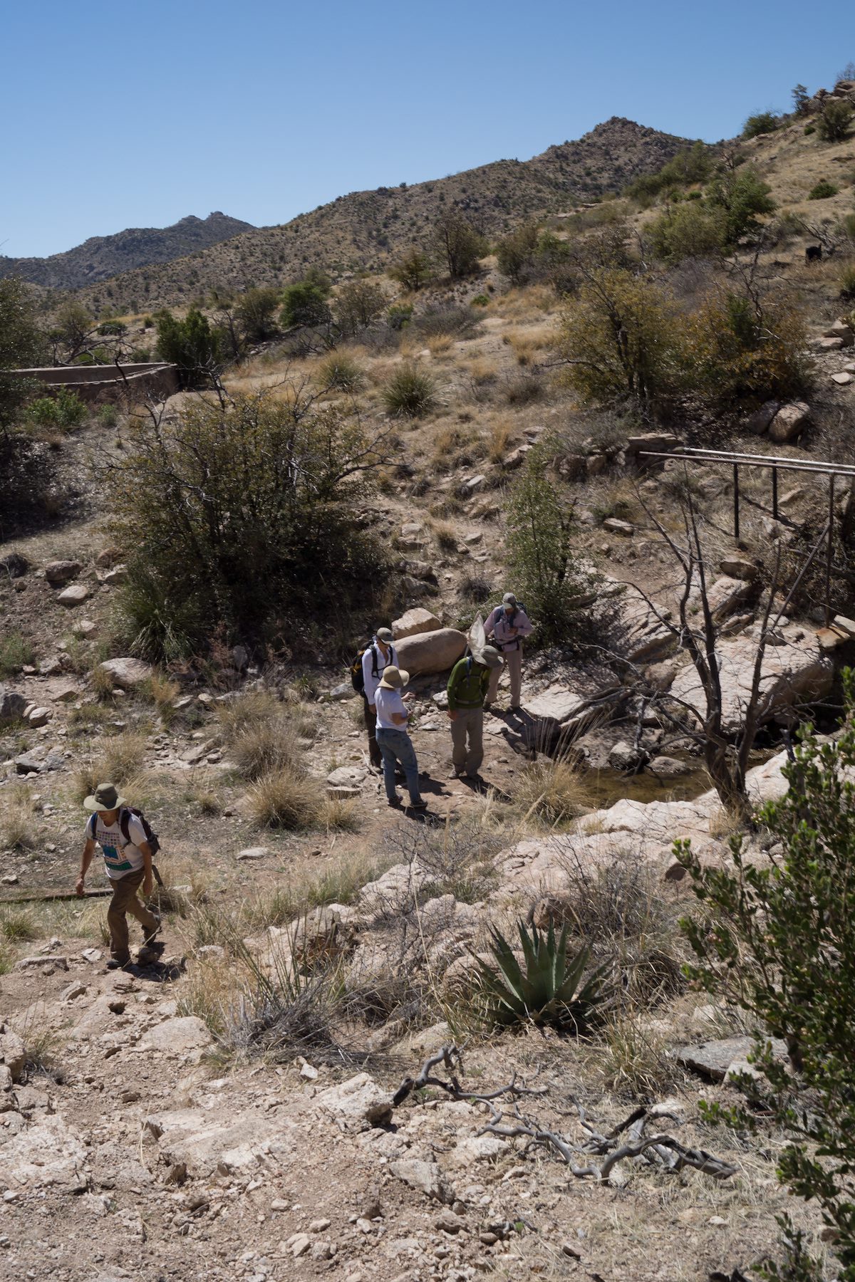 2013 April Hiking the canyon below Bug Spring with old water works visible
